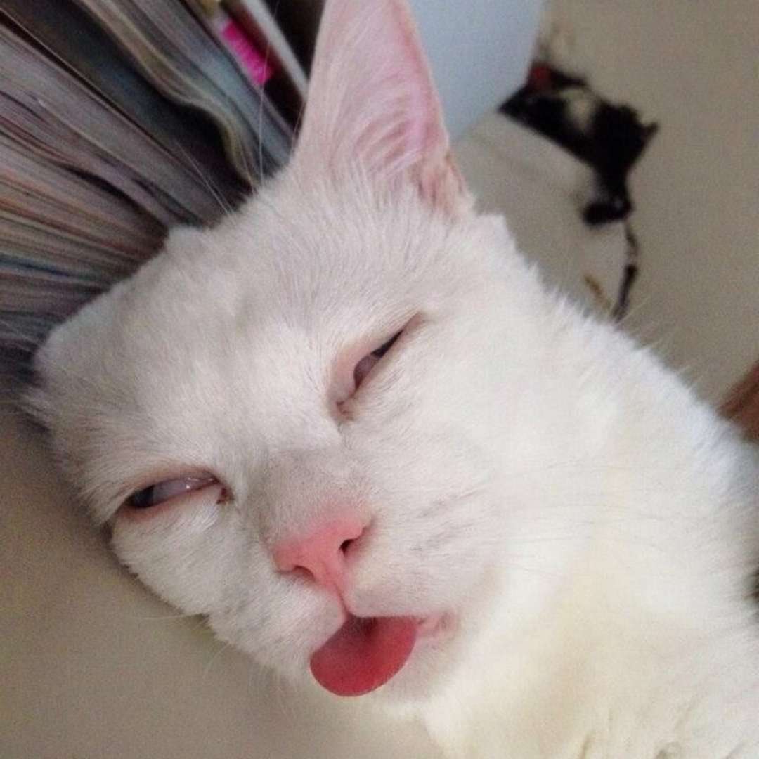 ma_tti.bcl