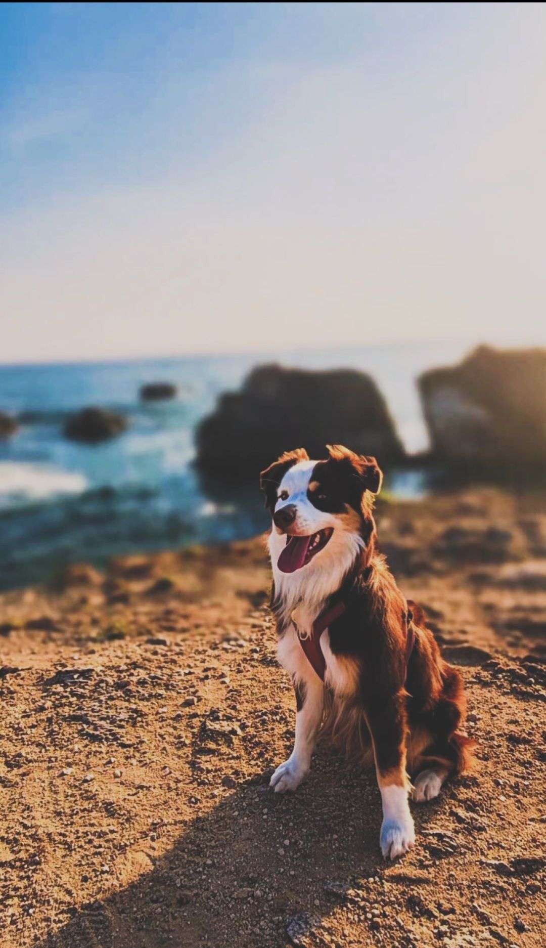lulu_-