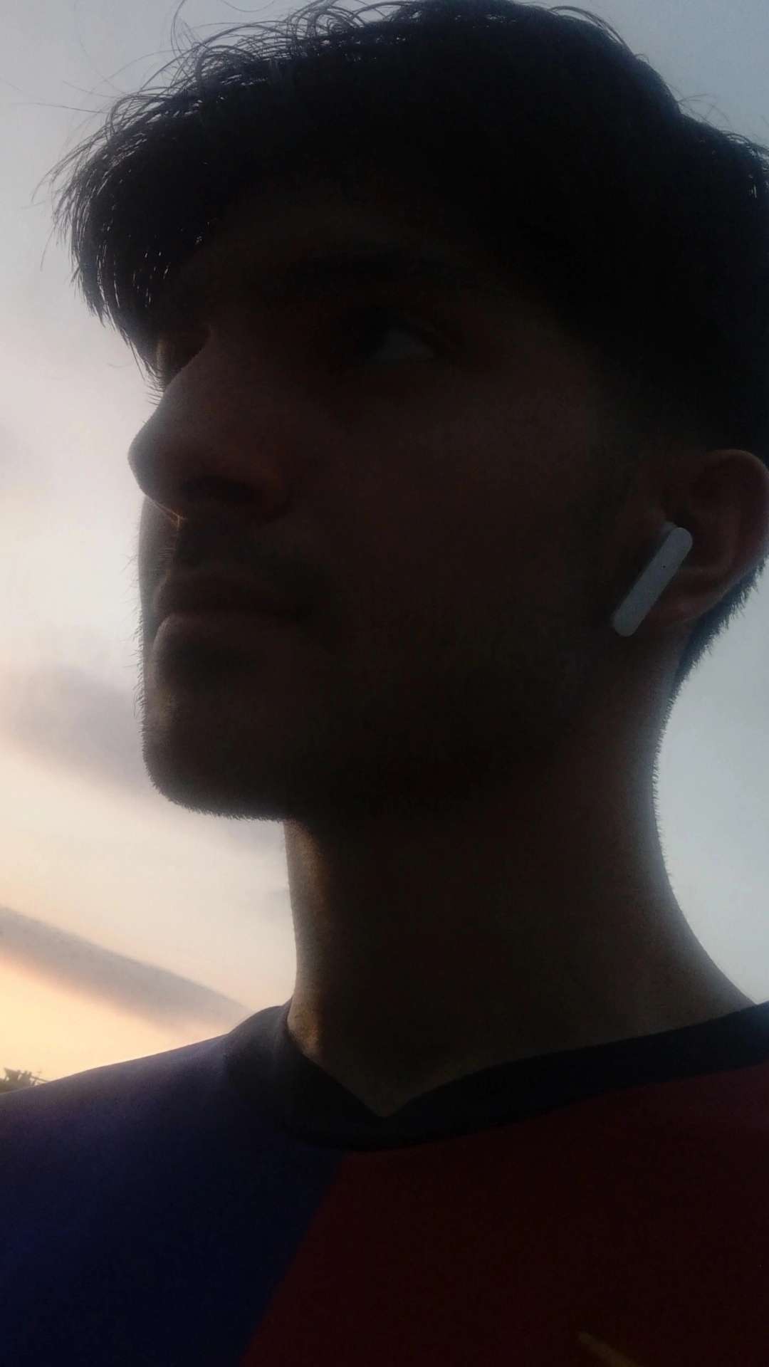 Tolga XX