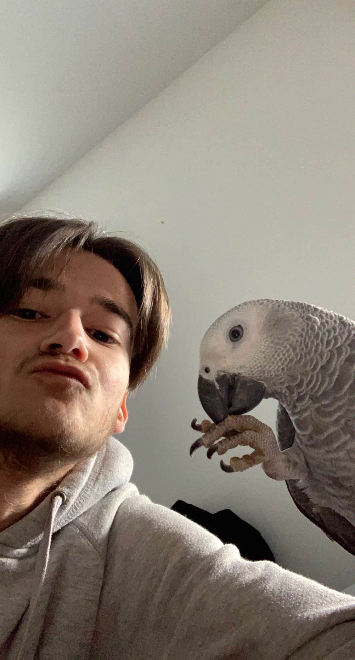 Kevin