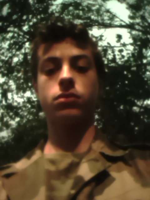 Mygg