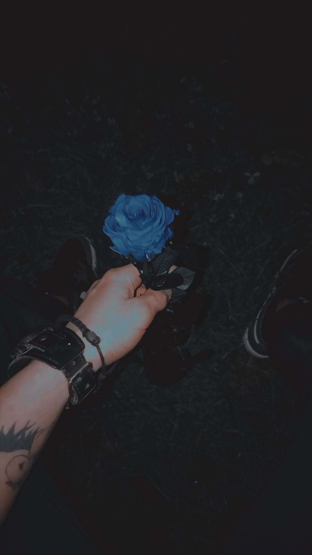 Sshwfvll