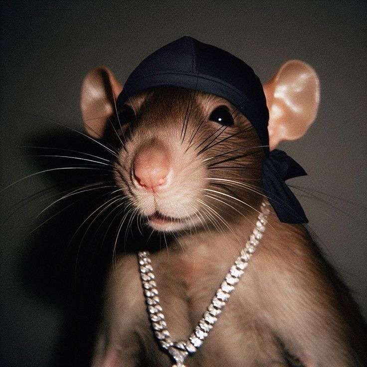 LeRat