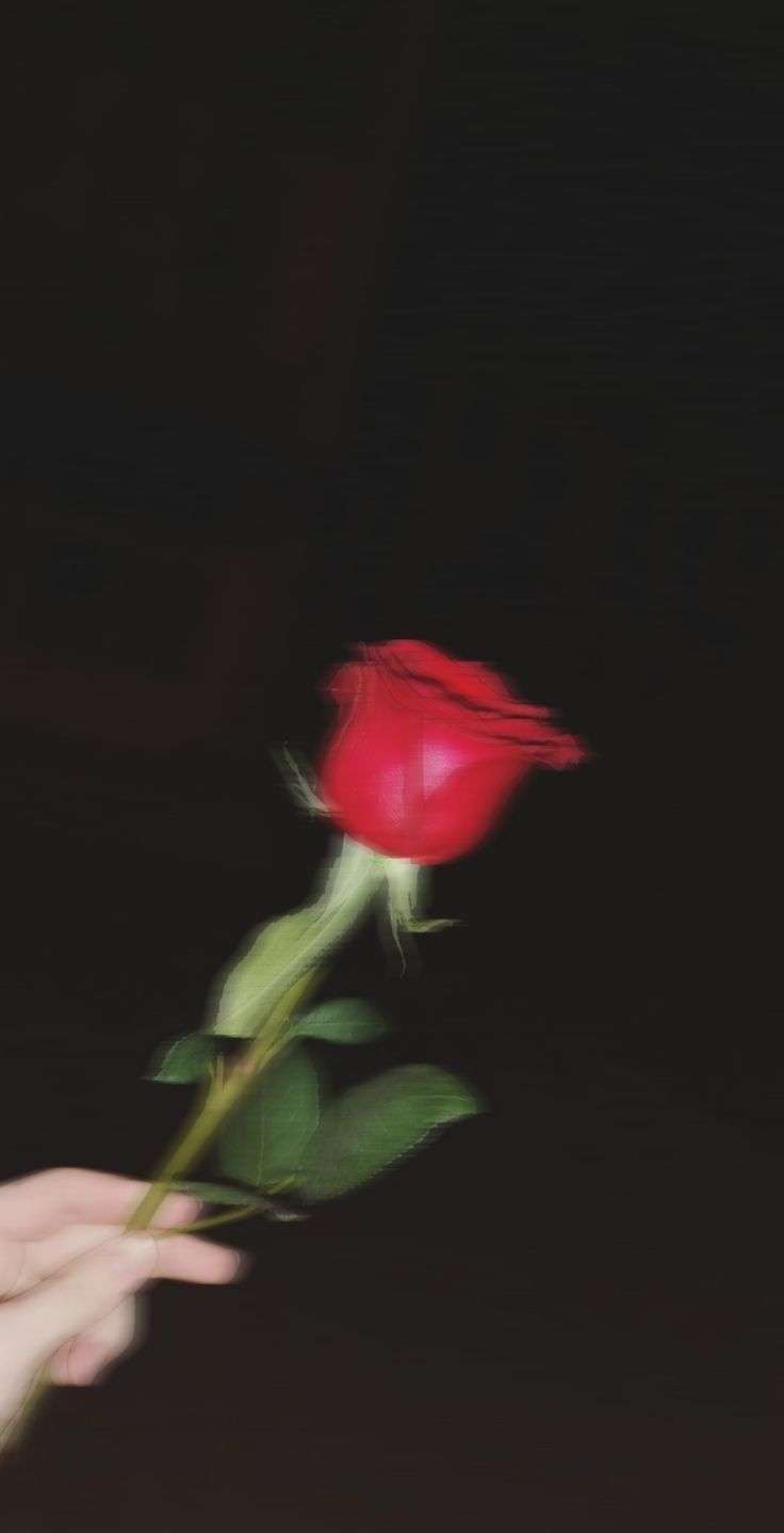 Kinoushe_71