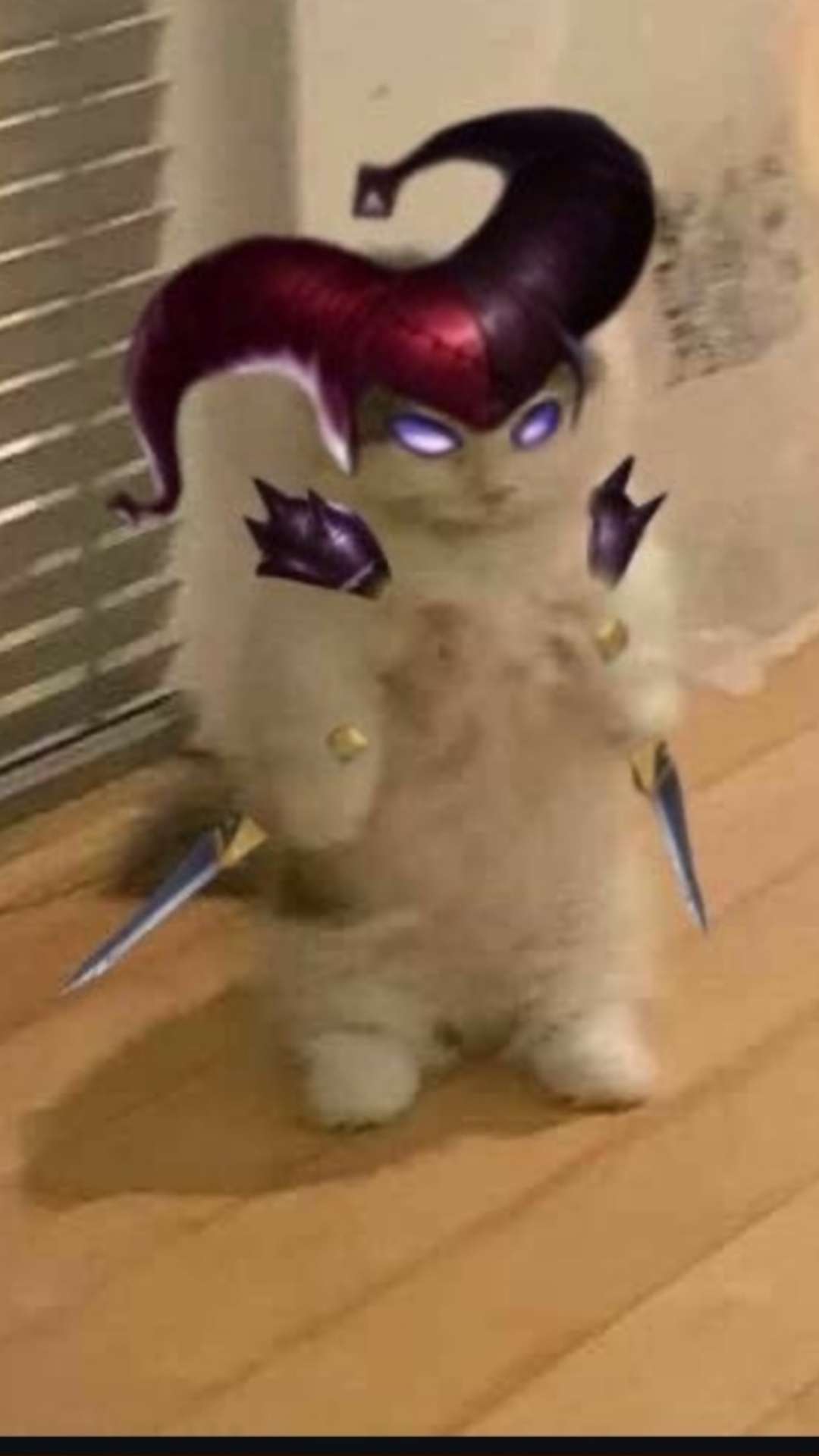 Shaco