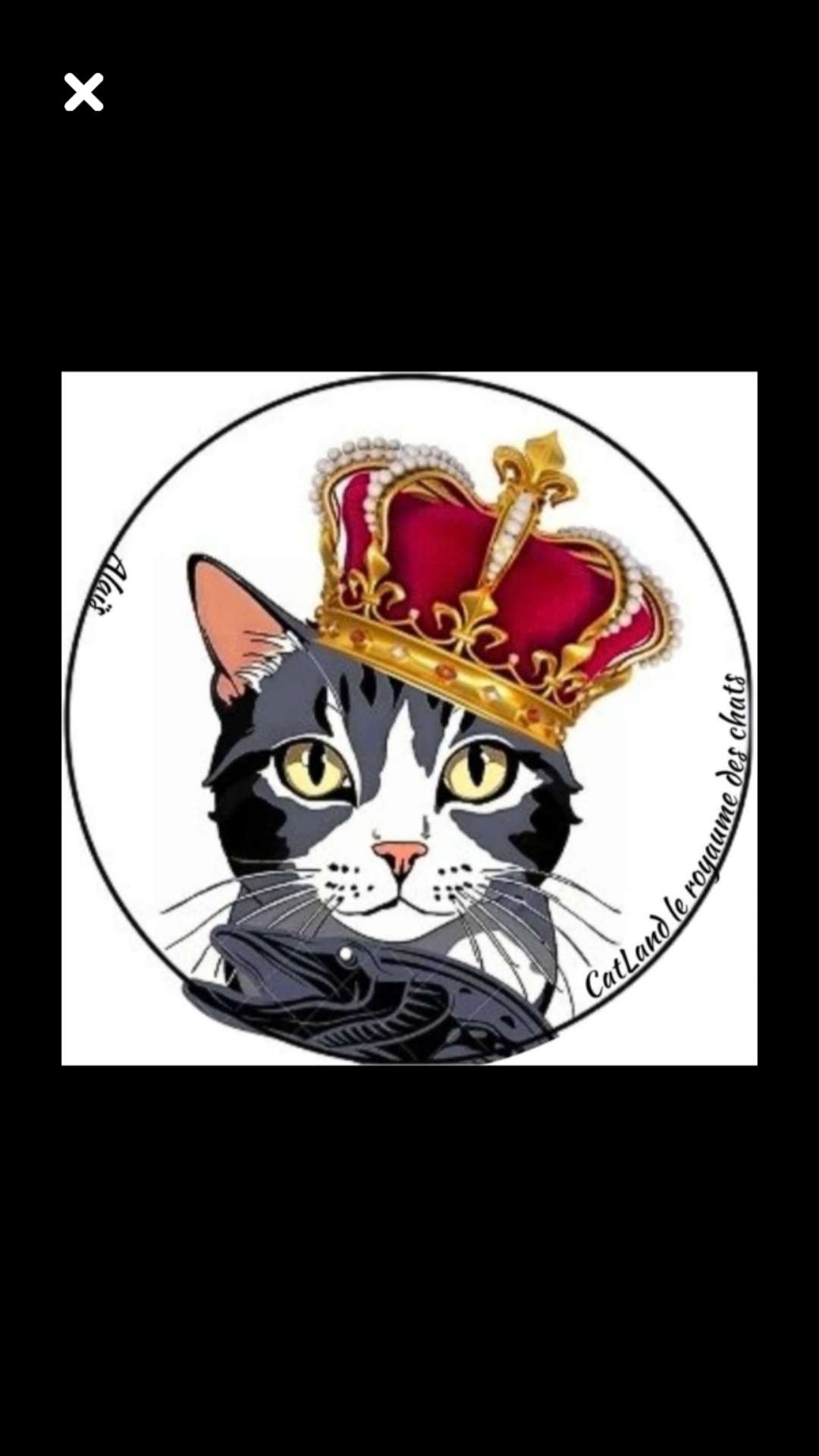 King cat