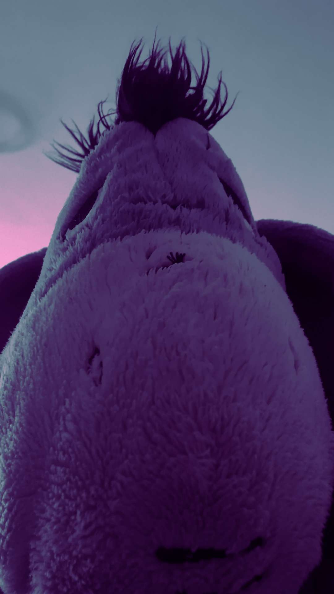 jolice