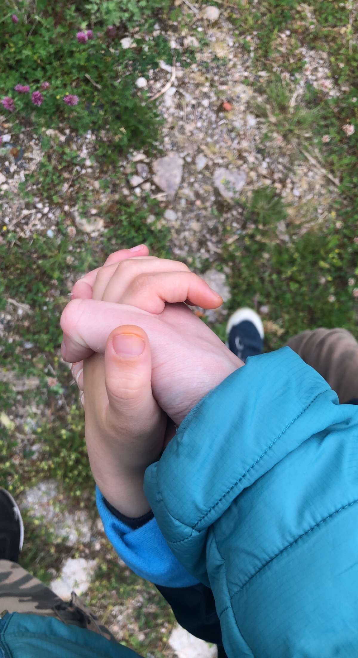 Lya