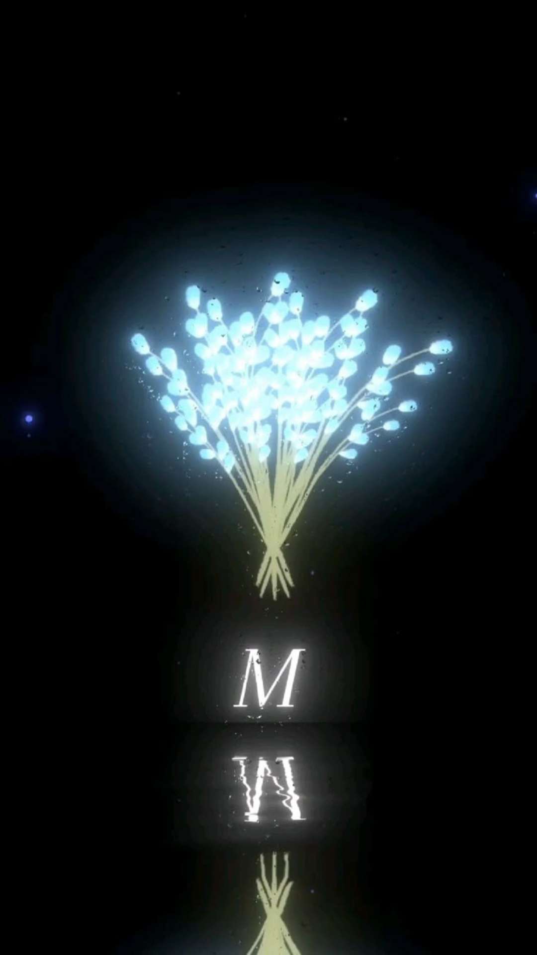 Ma&iuml;ka 