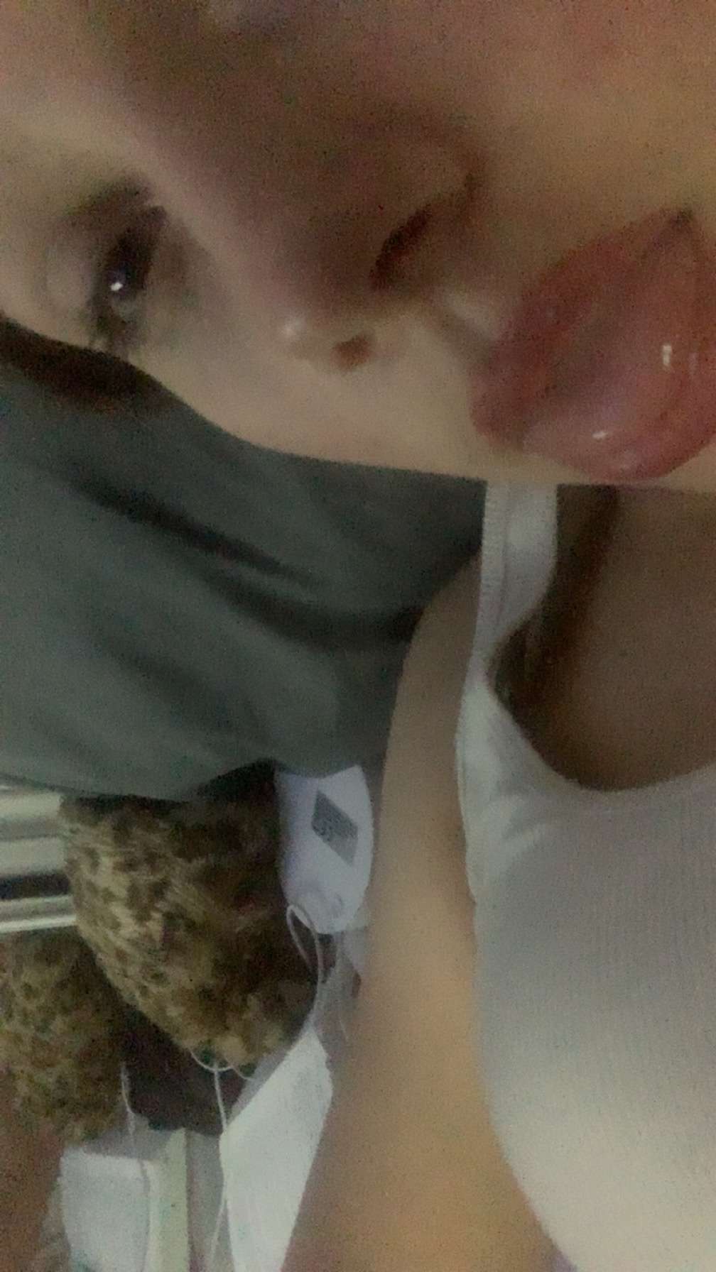 Rosa_srrr