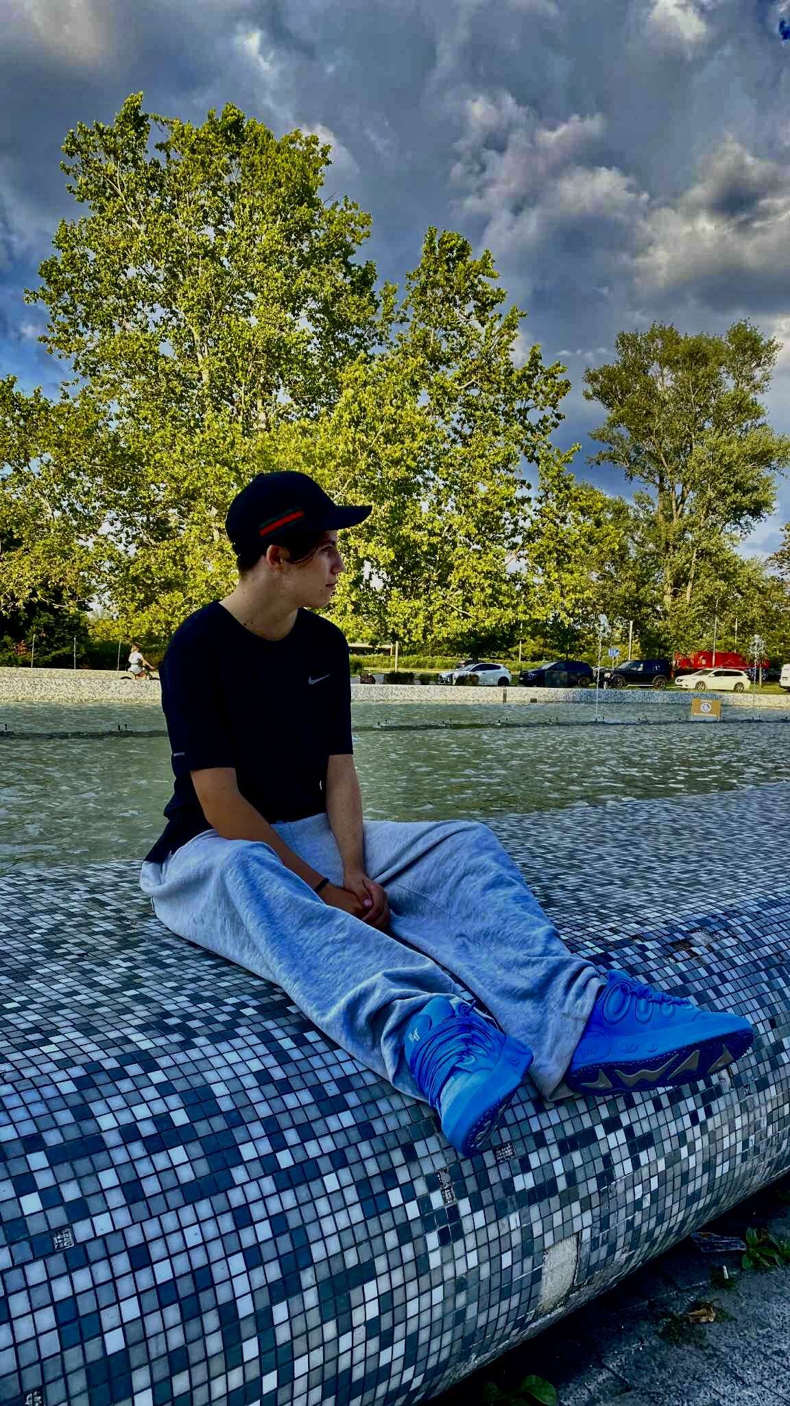 emil_dvs_