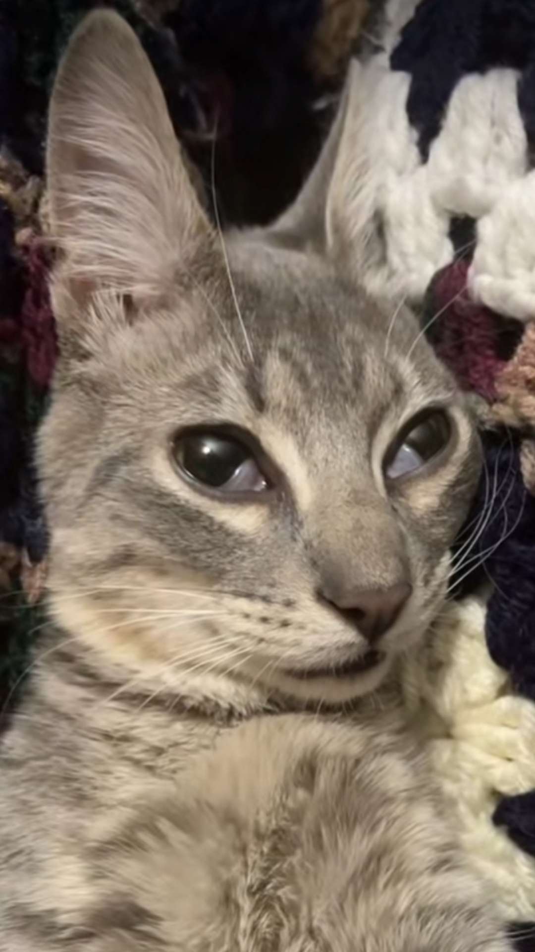 Liliannnn