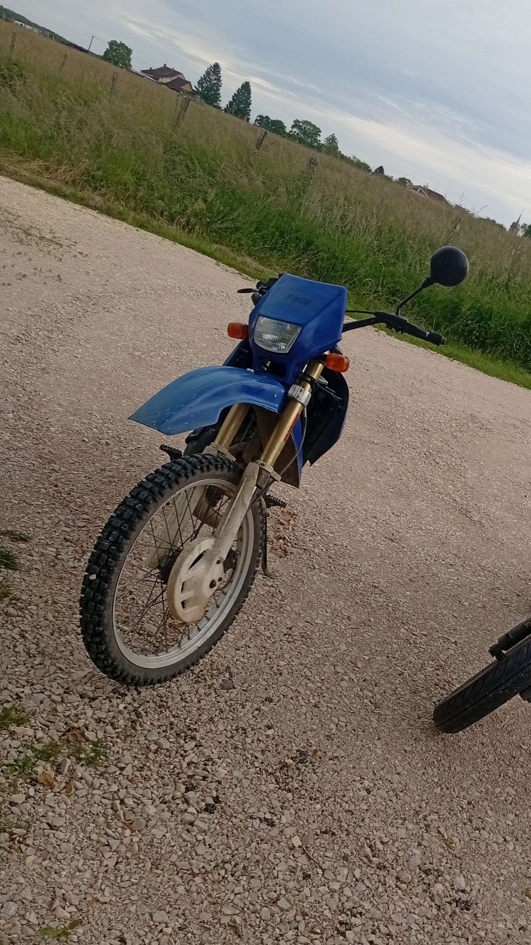 Val39130