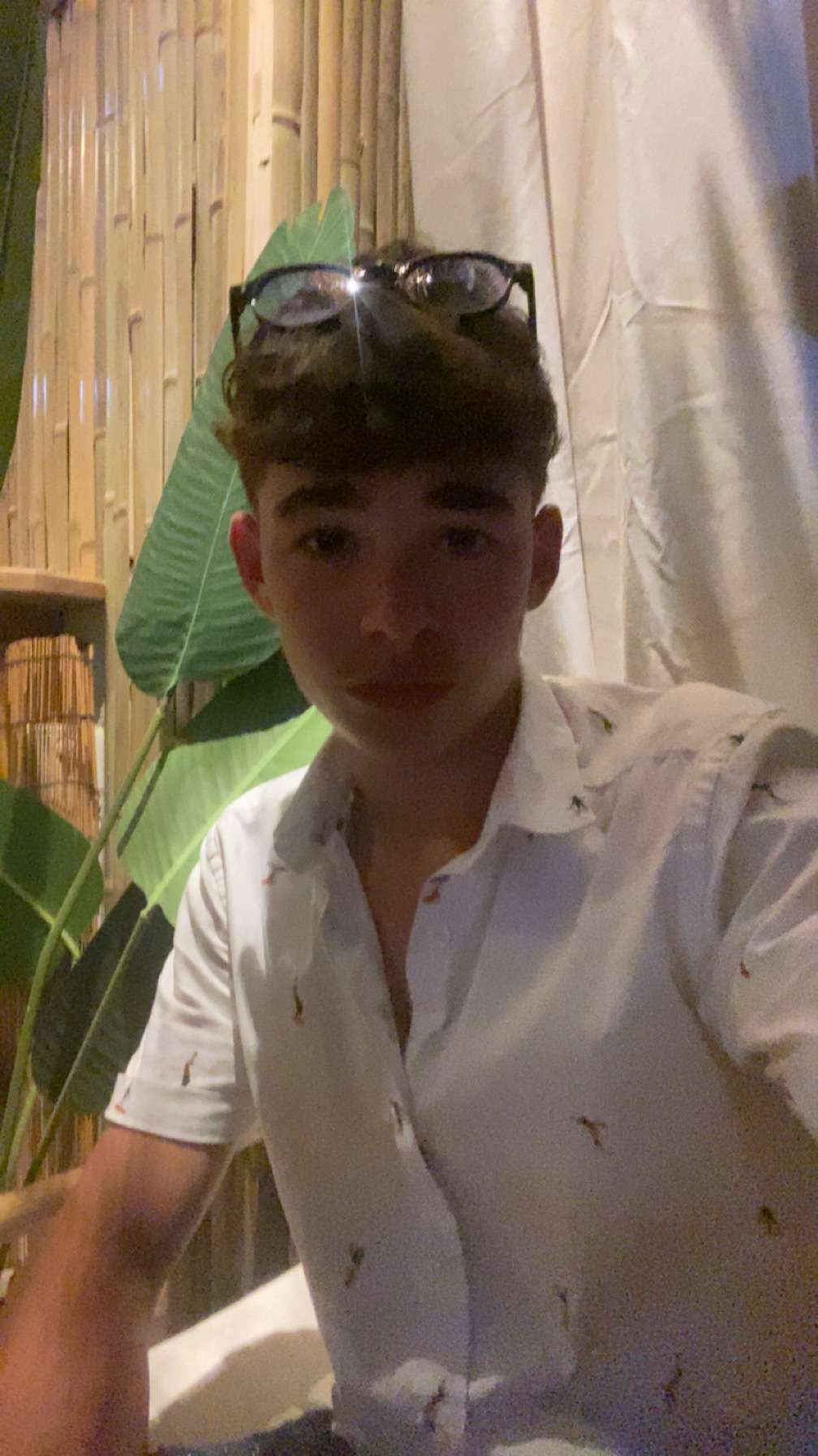 lyvan