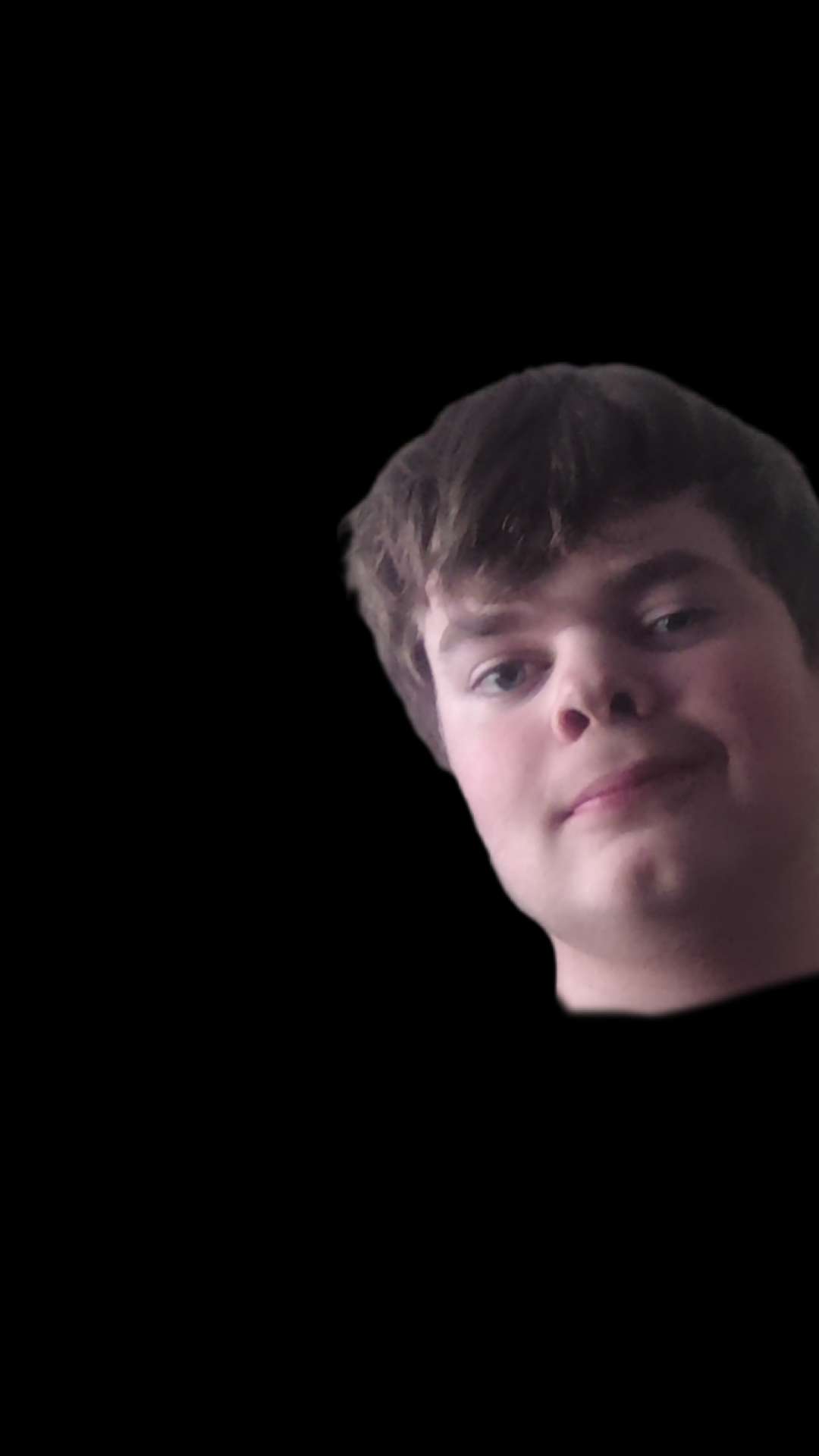 Brandon stevens