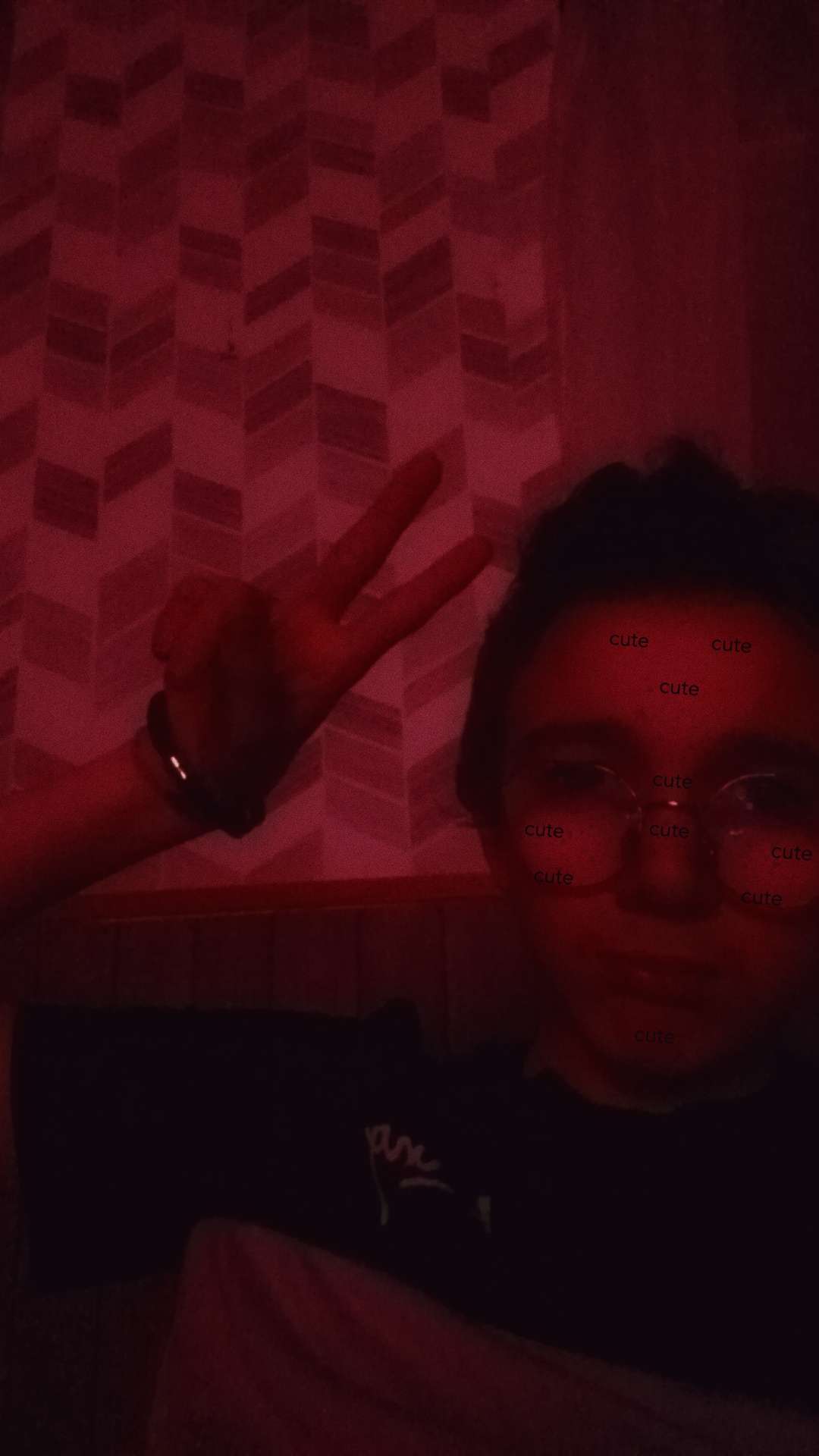 Terswann