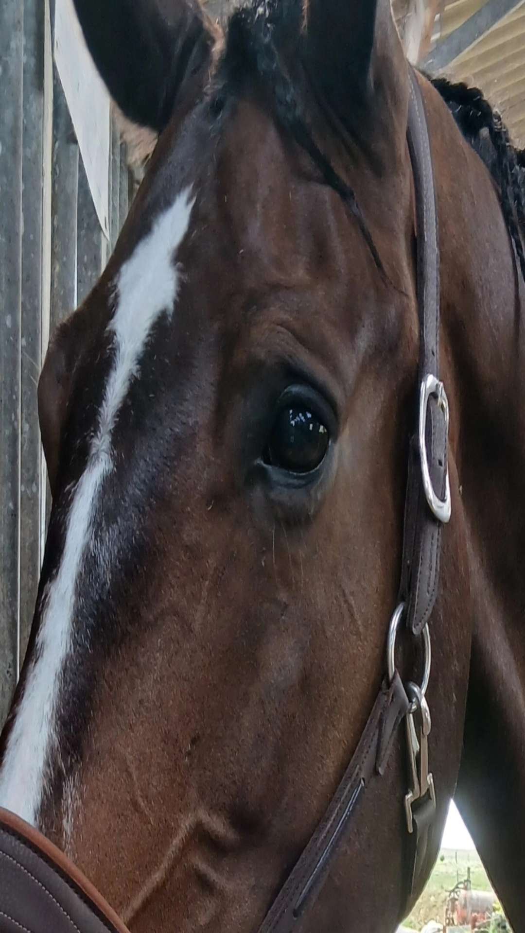Chlo&eacute; 