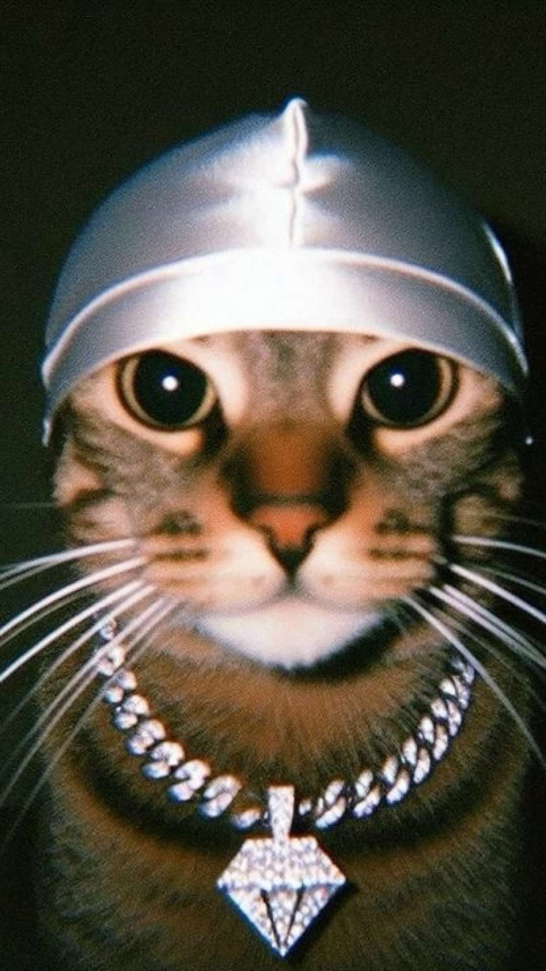 KINGMH