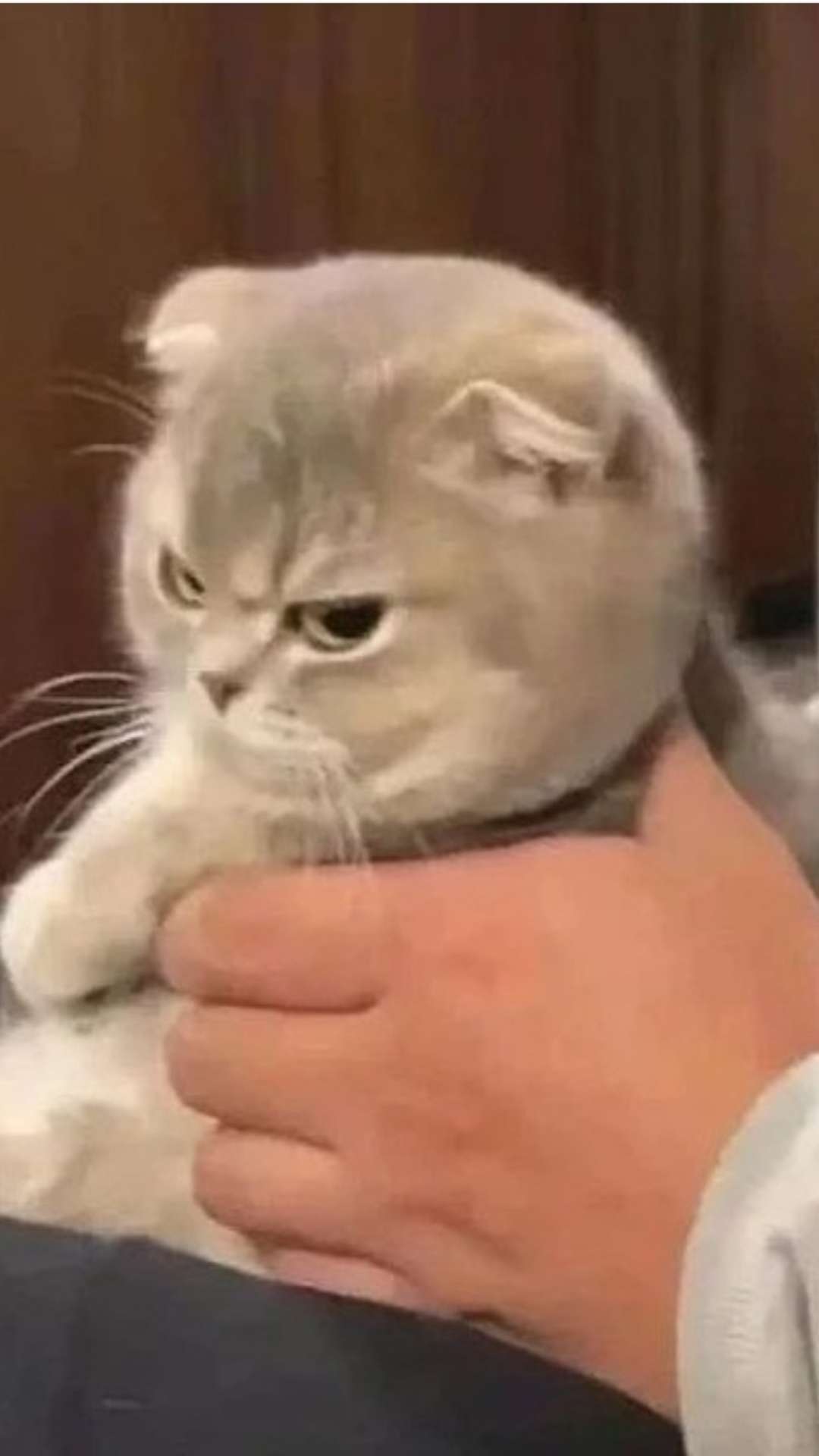 Bruh