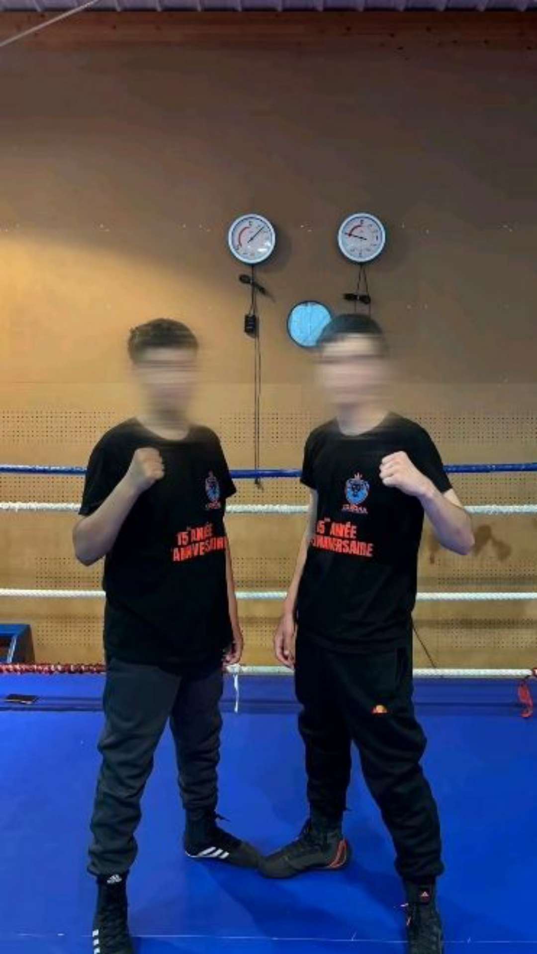 Ilias RaidCleaner