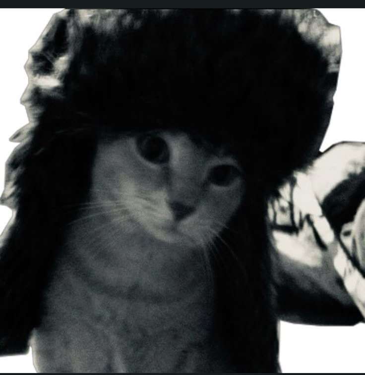 Manuuu