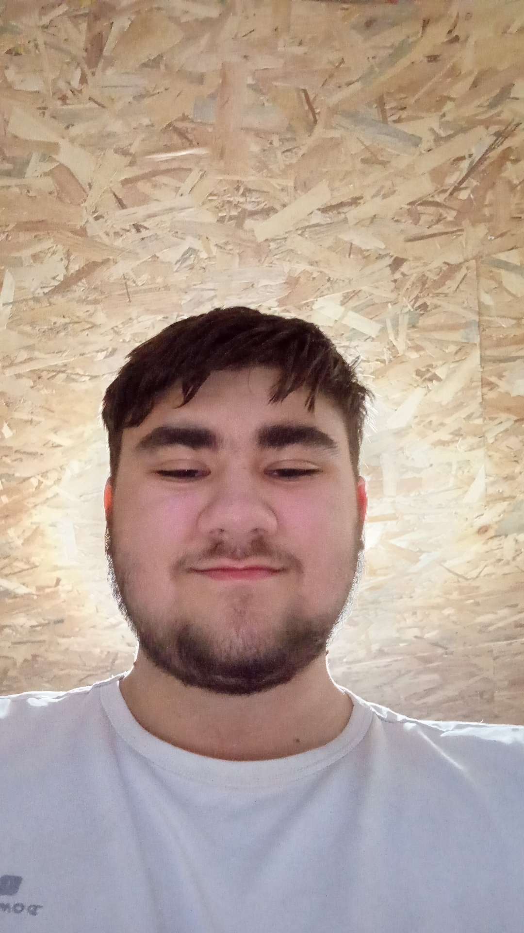 Noegallois