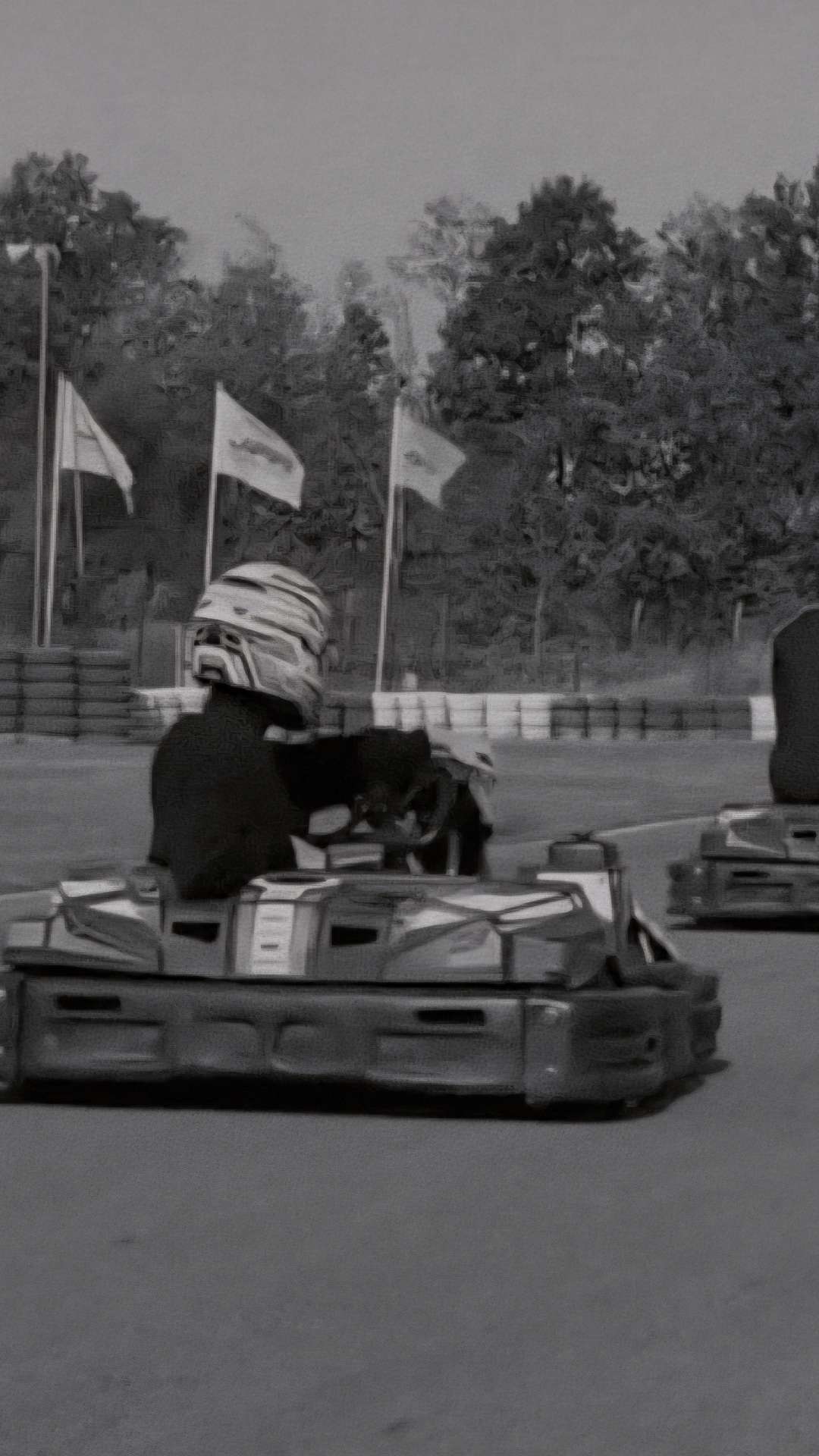 ChessAreWild