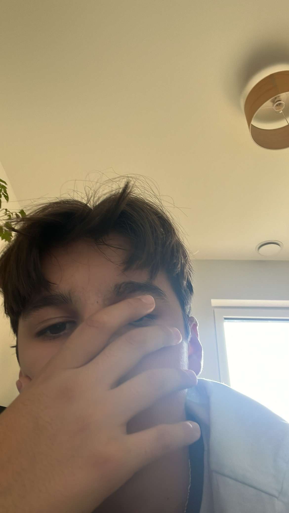 yan_clm