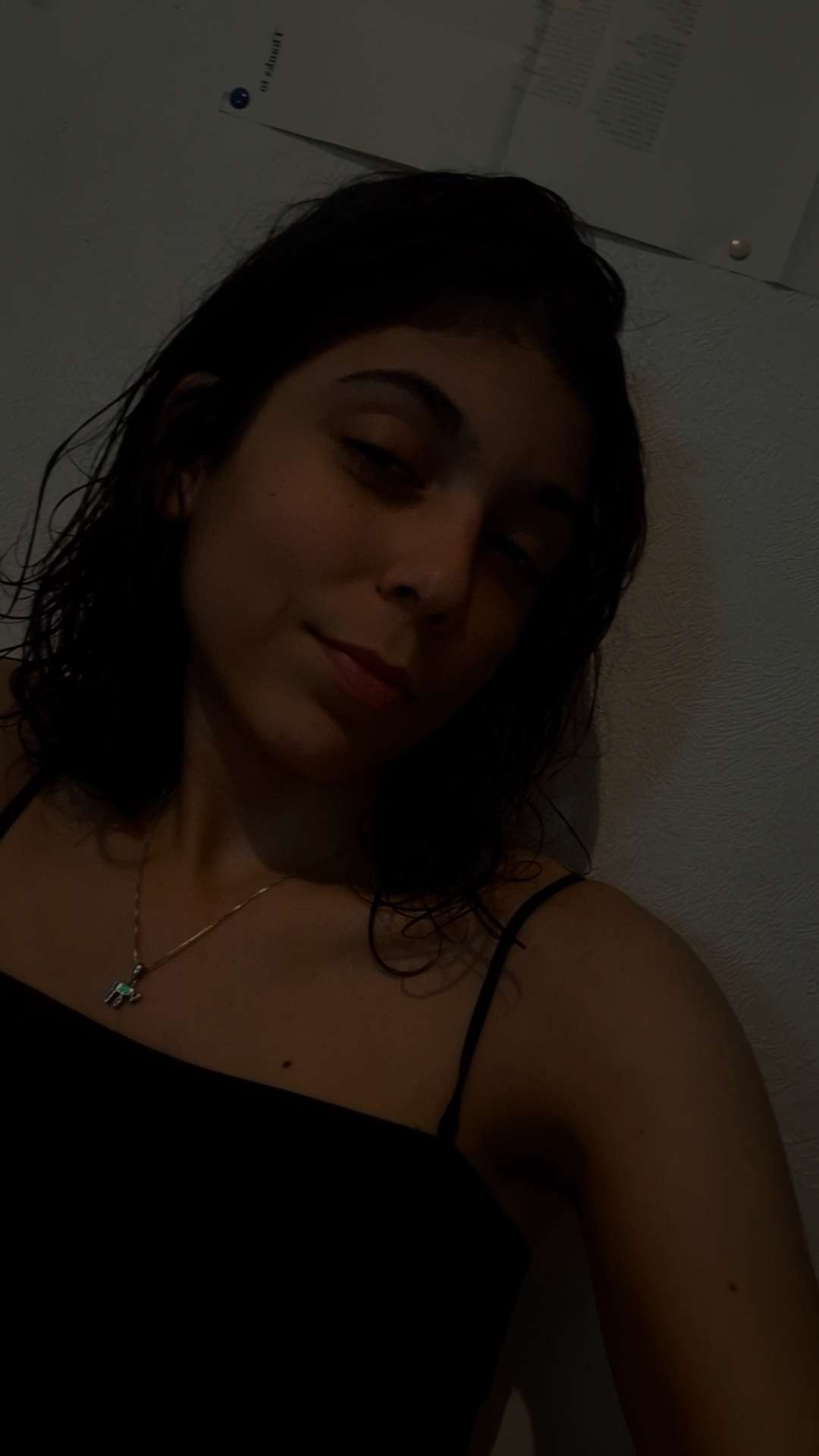 li_lith