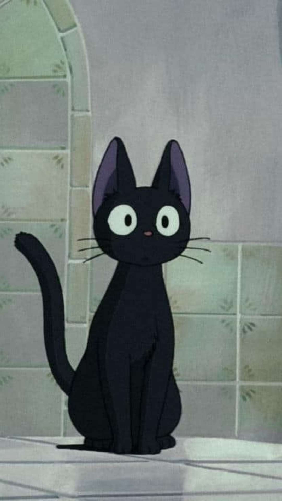 cinnamqn