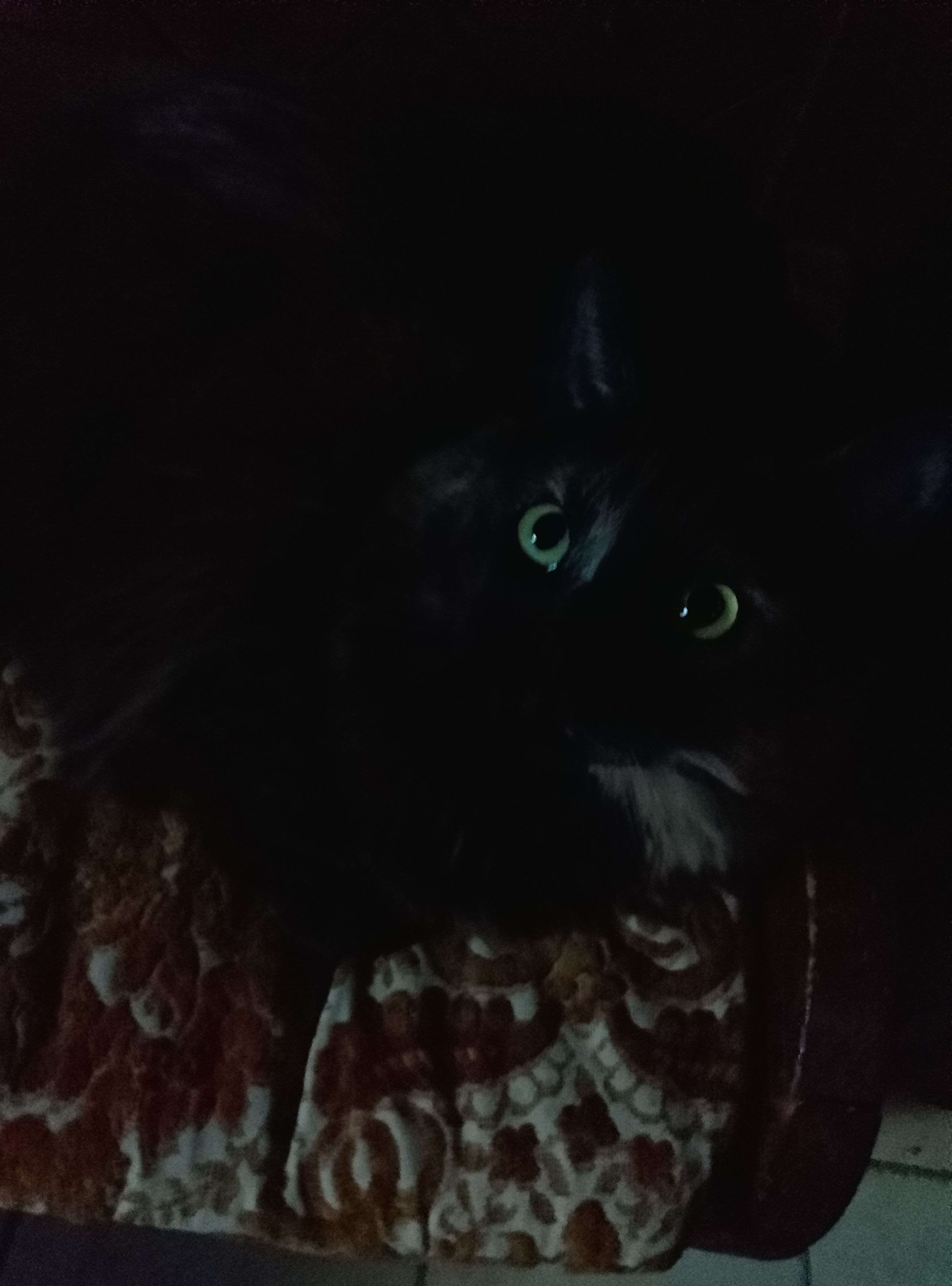 Juju_
