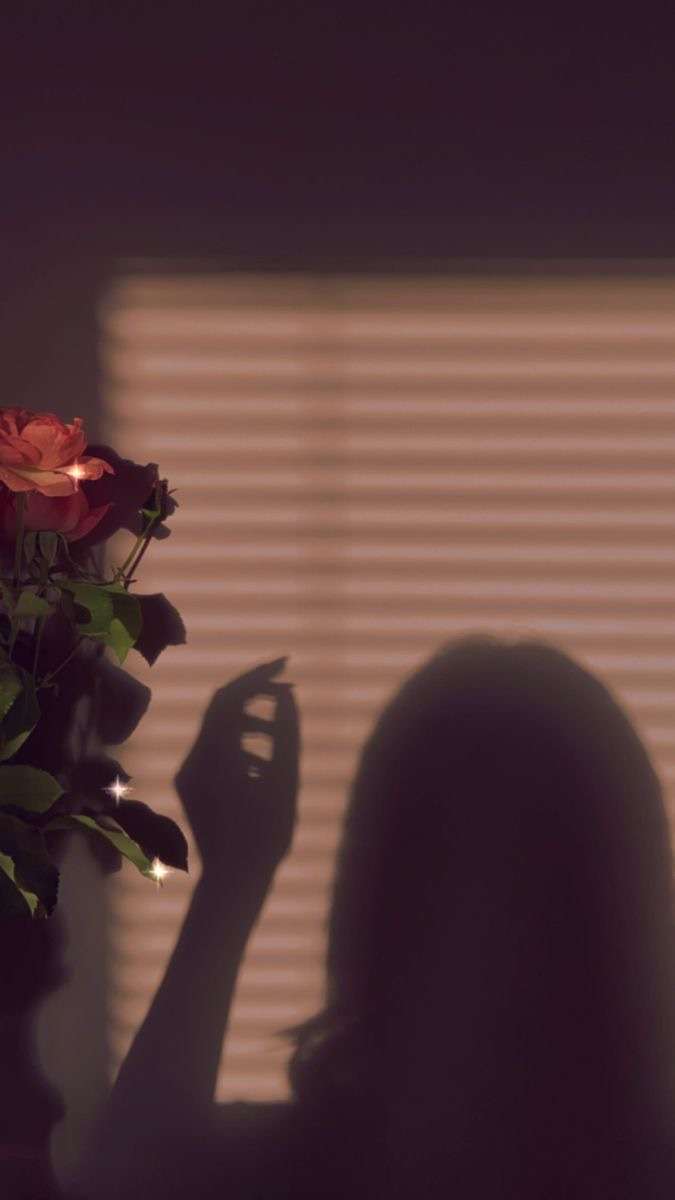 .Rosa.