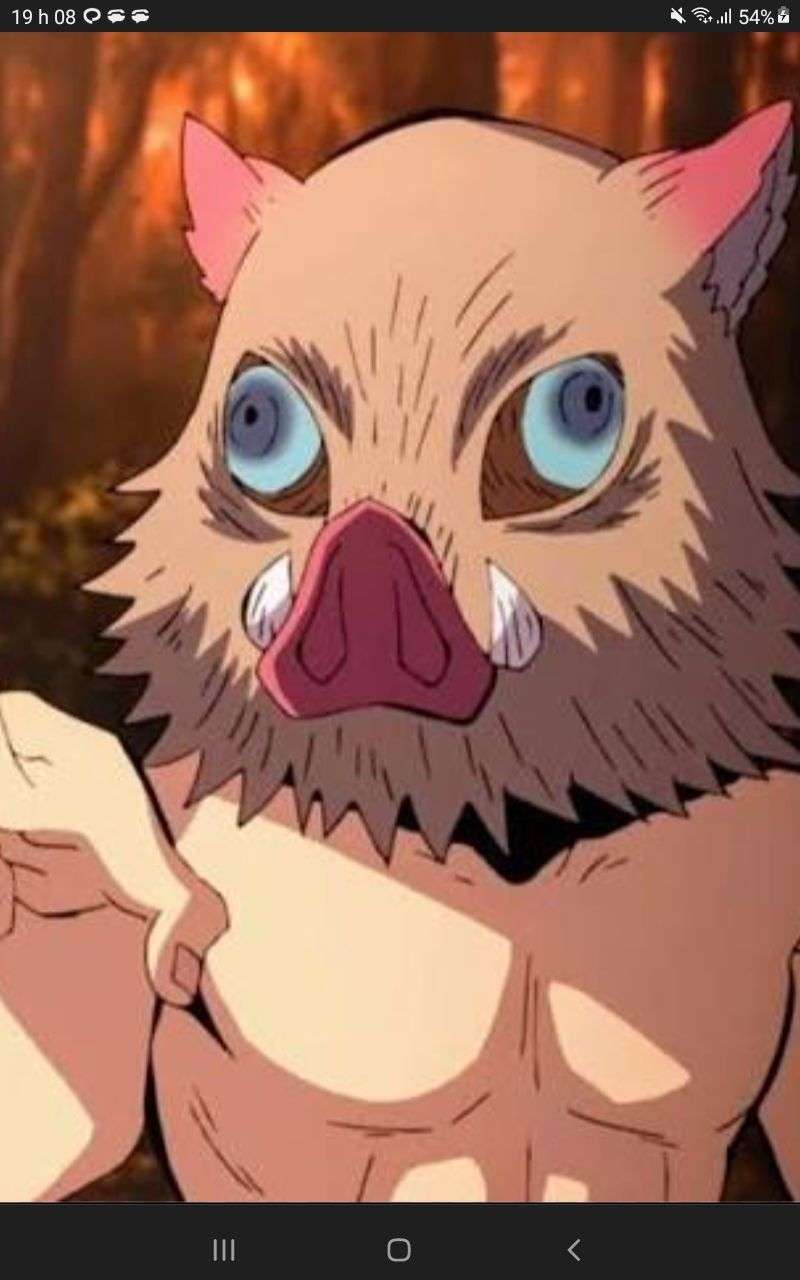 Momolafolle