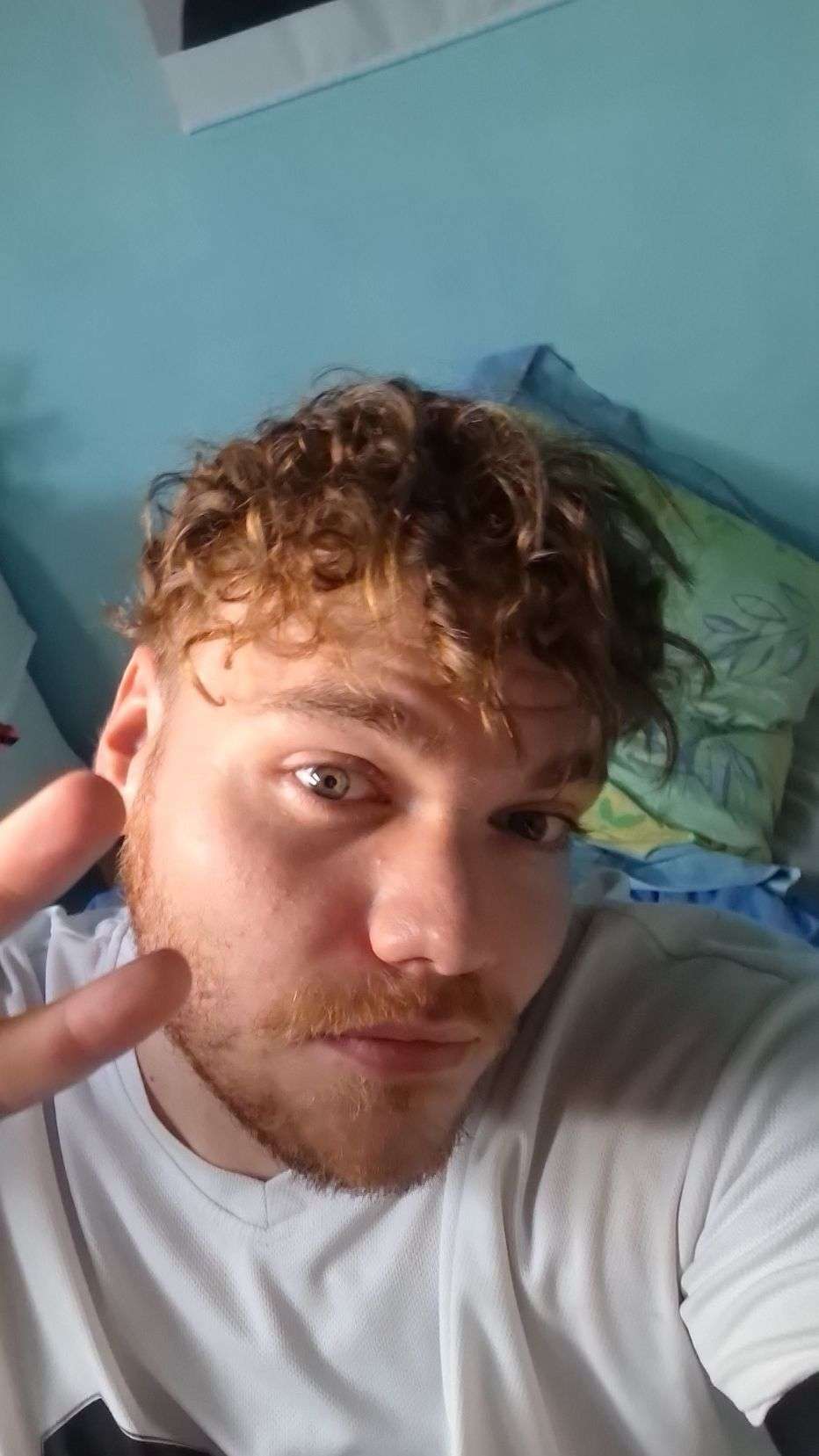 Clem65