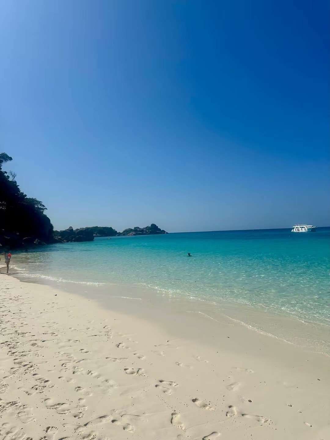 nz93