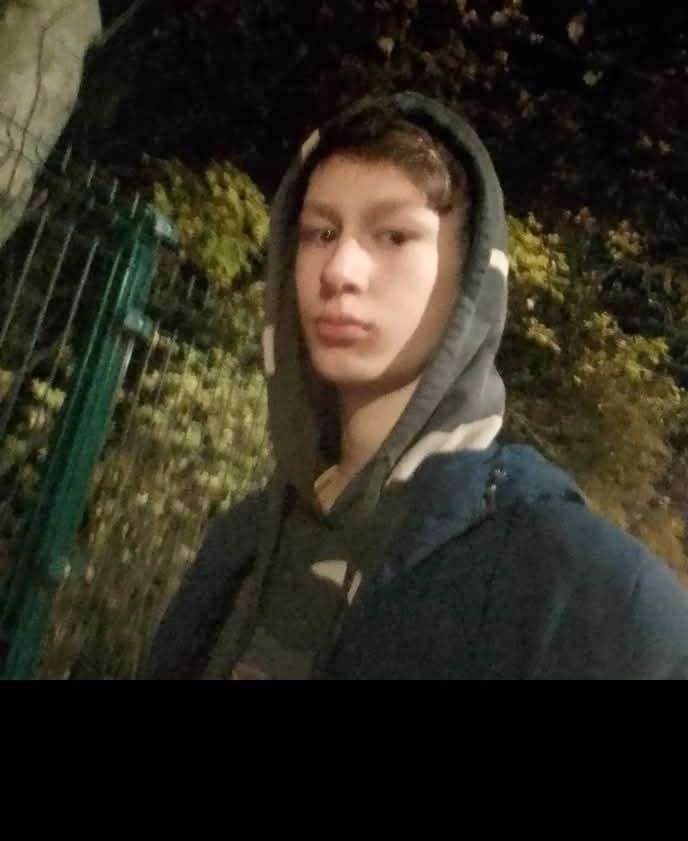 lemecseul
