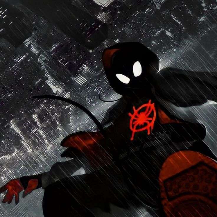 MarcSpider