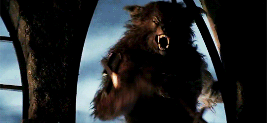 Mechant loup