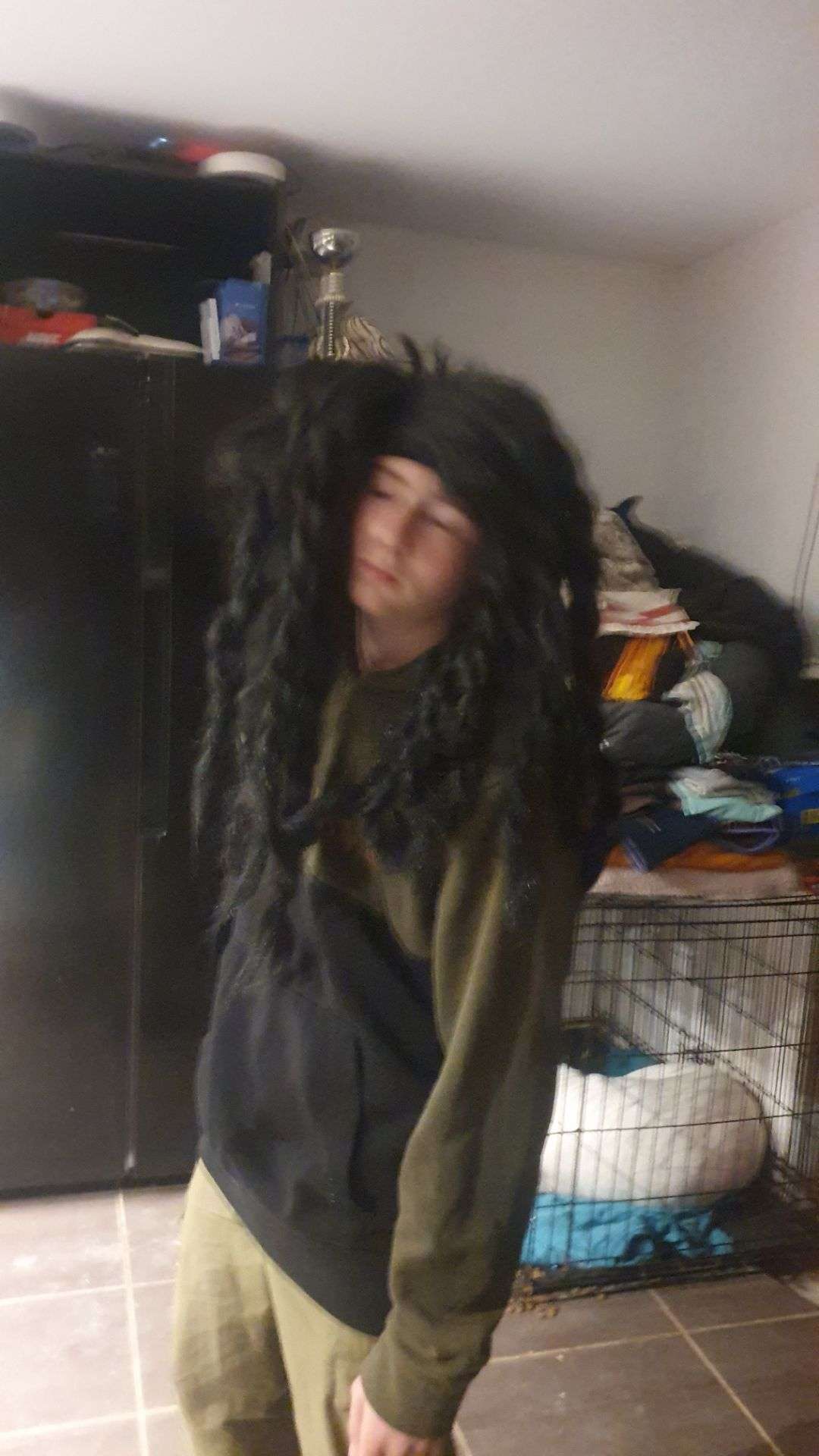 Ludwig