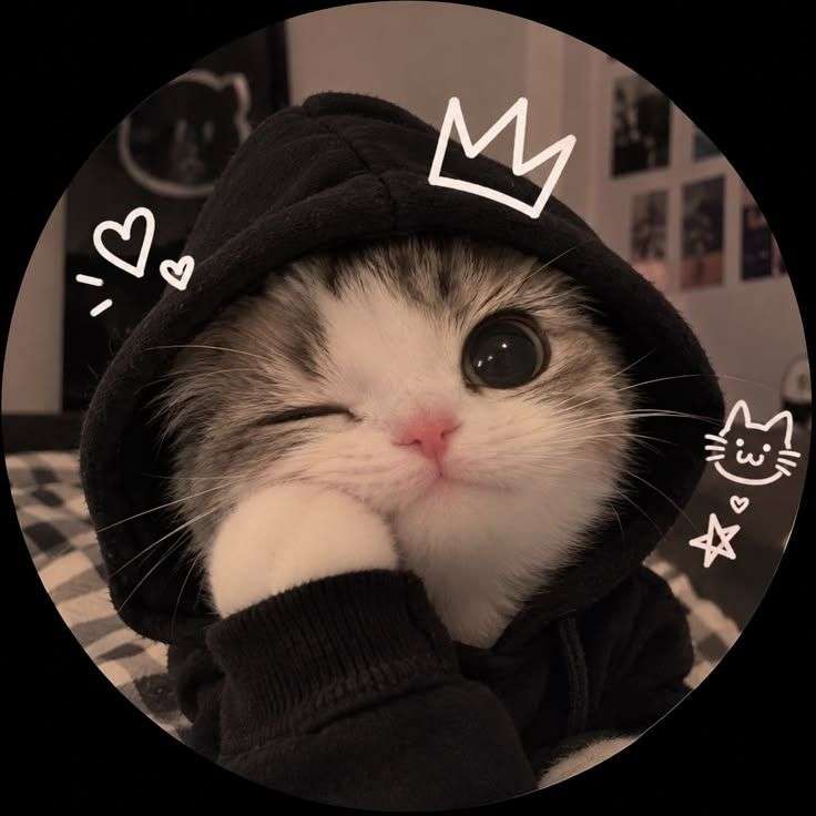 Artemis_1008