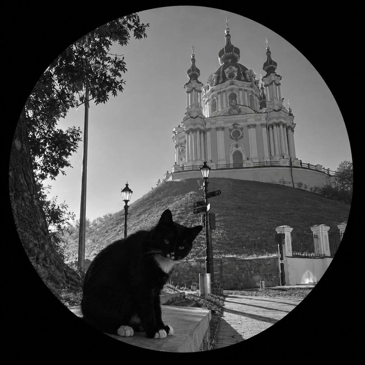 ntl_54430