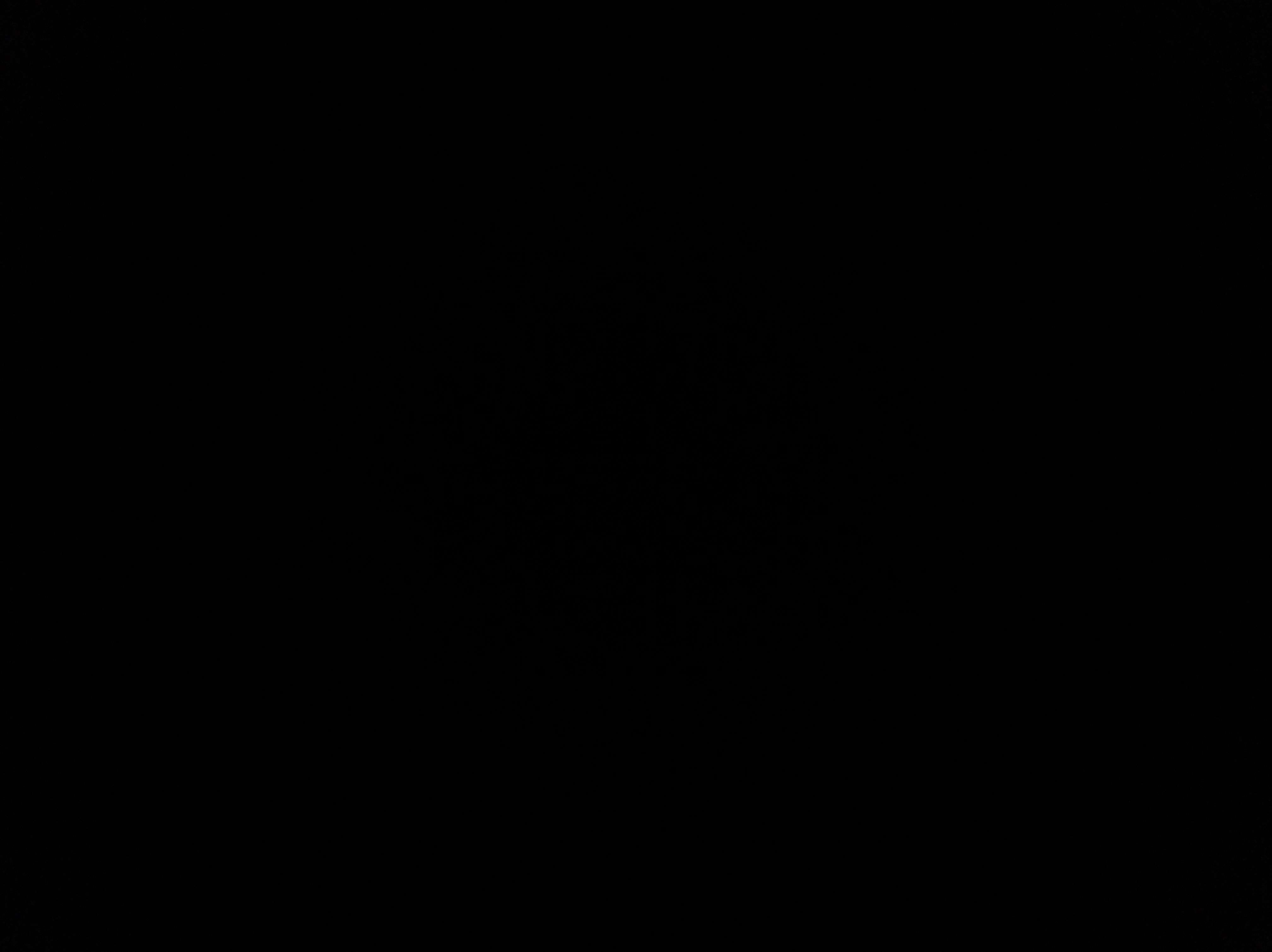 noirvex
