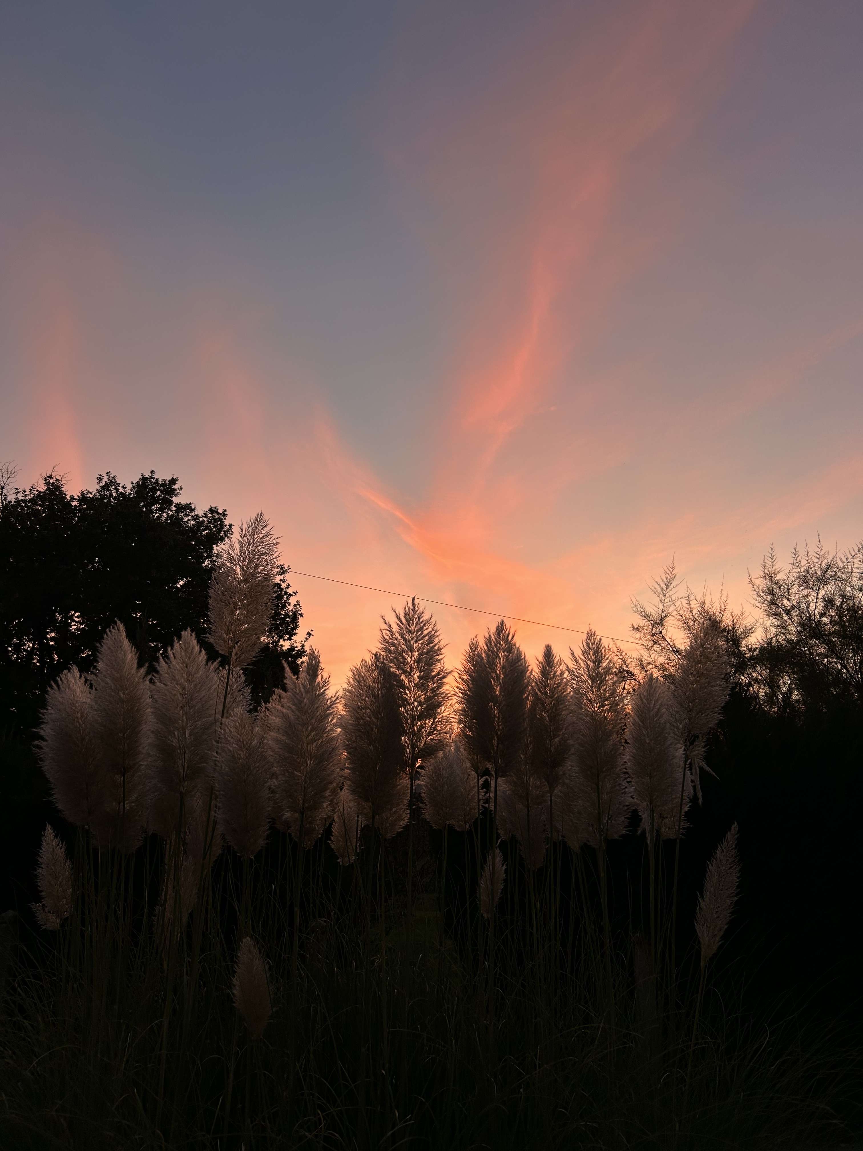 Une bonne soir&eacute;e bien rentable pour mes photographies, la photographe amatrice que je suis est de nouveau en action 🤩😍