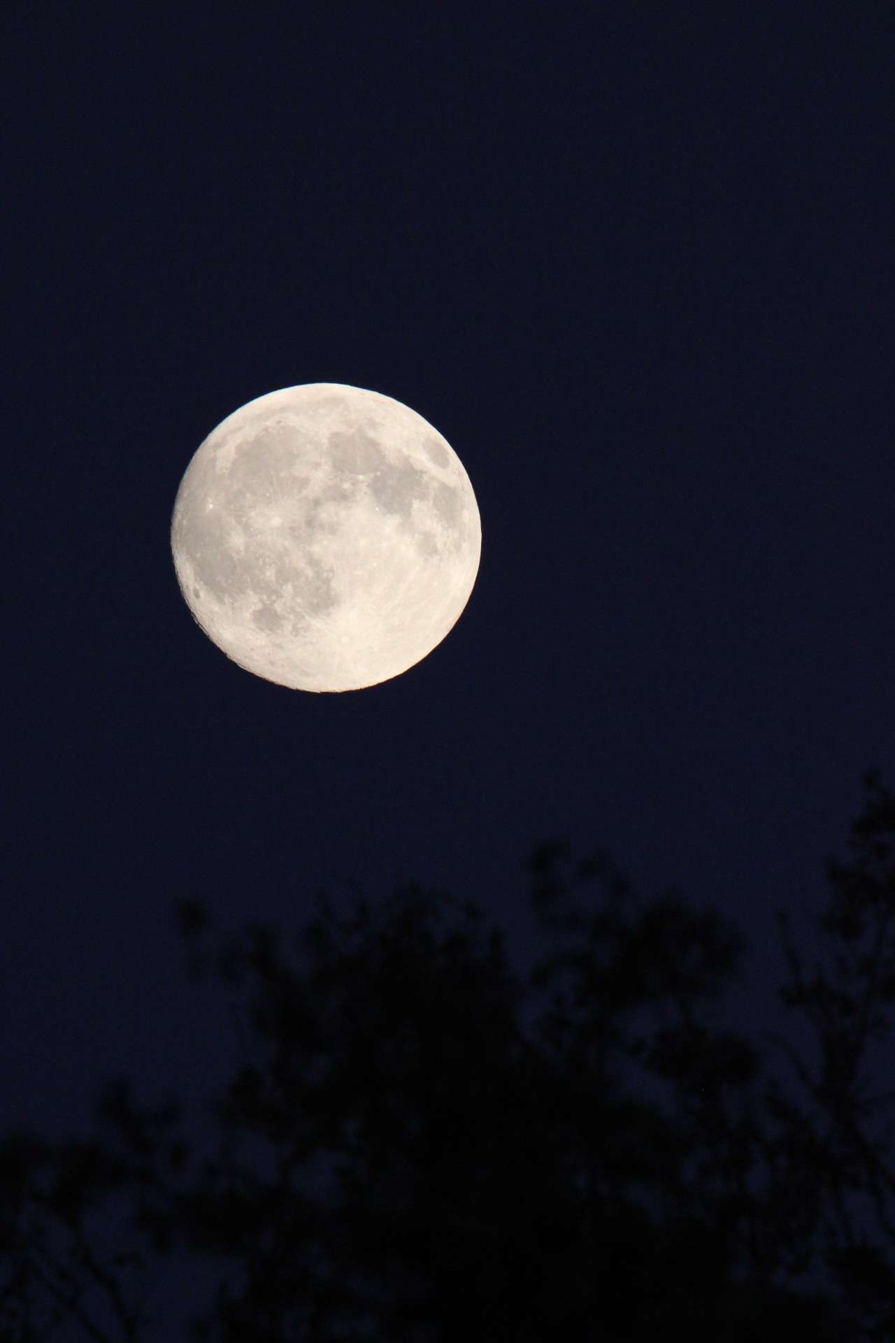 Photo 1 - J’ai pris de nouvelles photos de la lune avec mon appareil photo 🥰

Vous préférez laquelle ?