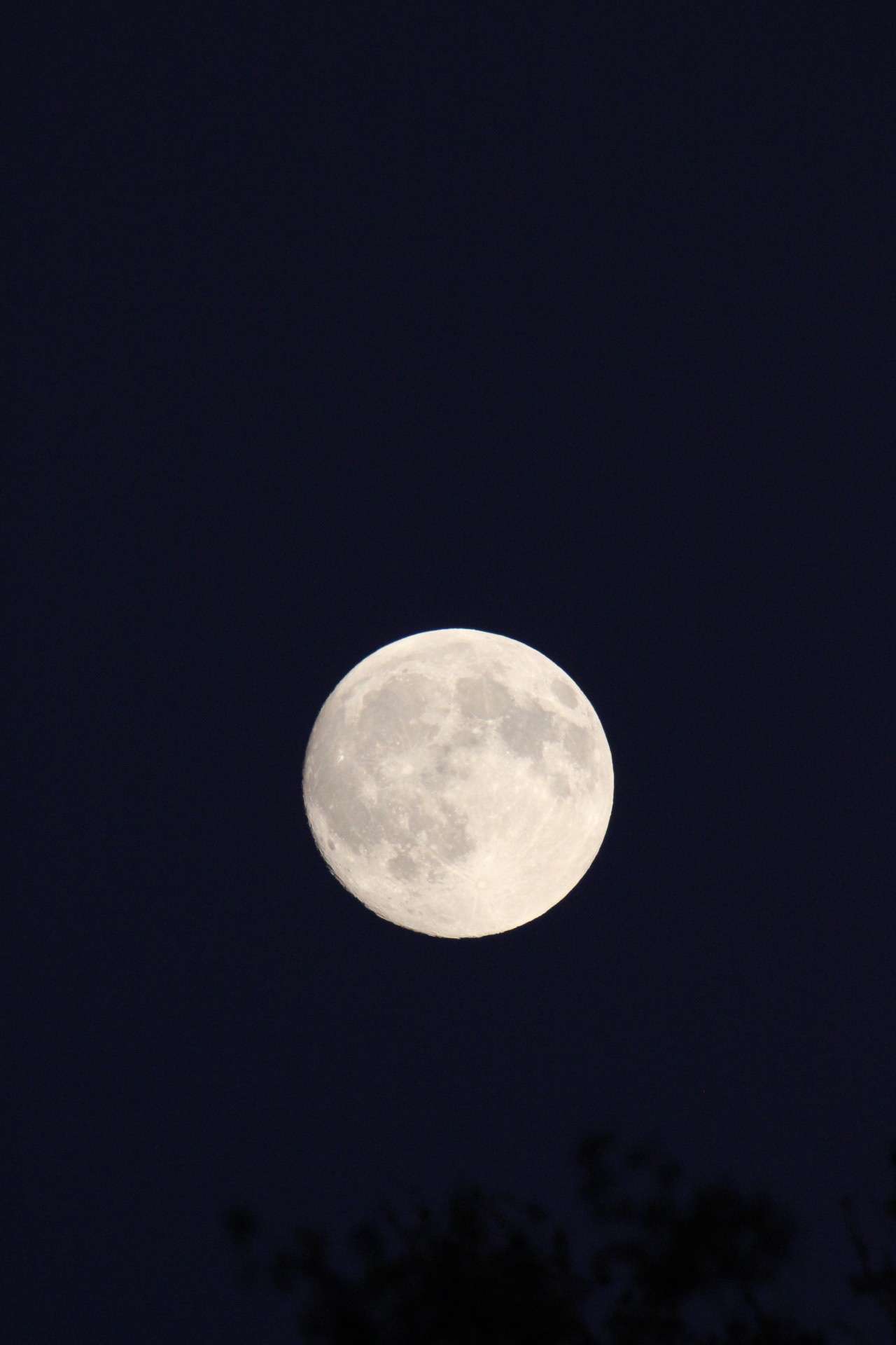 Photo 2 - J’ai pris de nouvelles photos de la lune avec mon appareil photo 🥰

Vous préférez laquelle ?