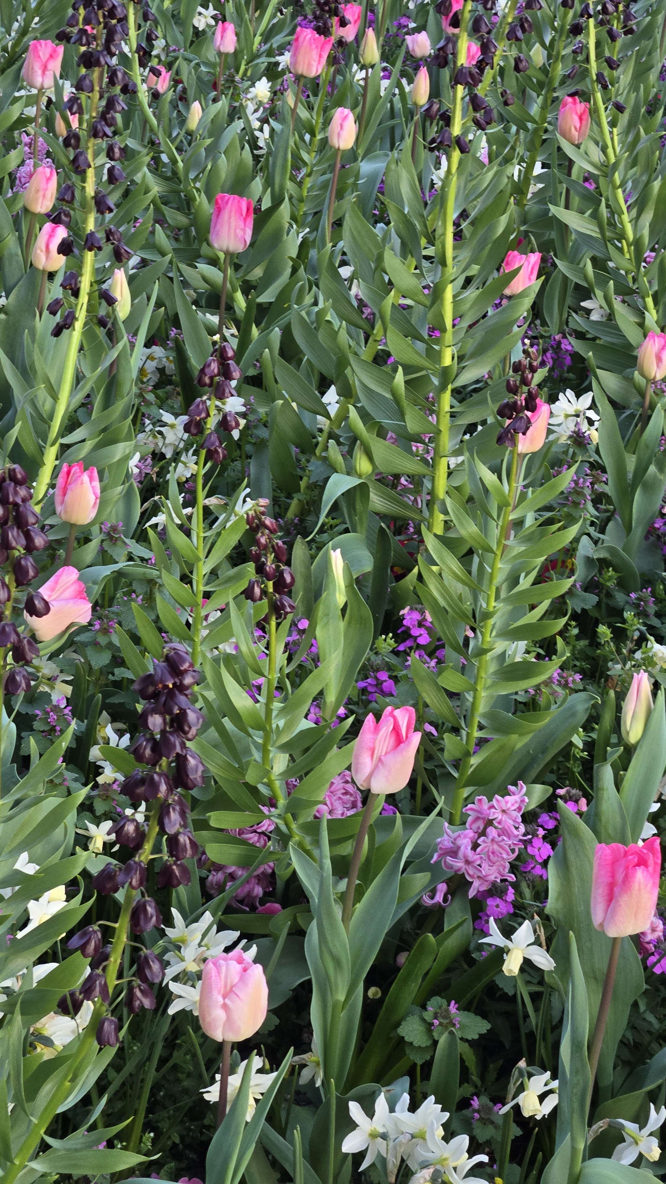 le printemps  #promenade #amis #pr&eacute;vention #instagram