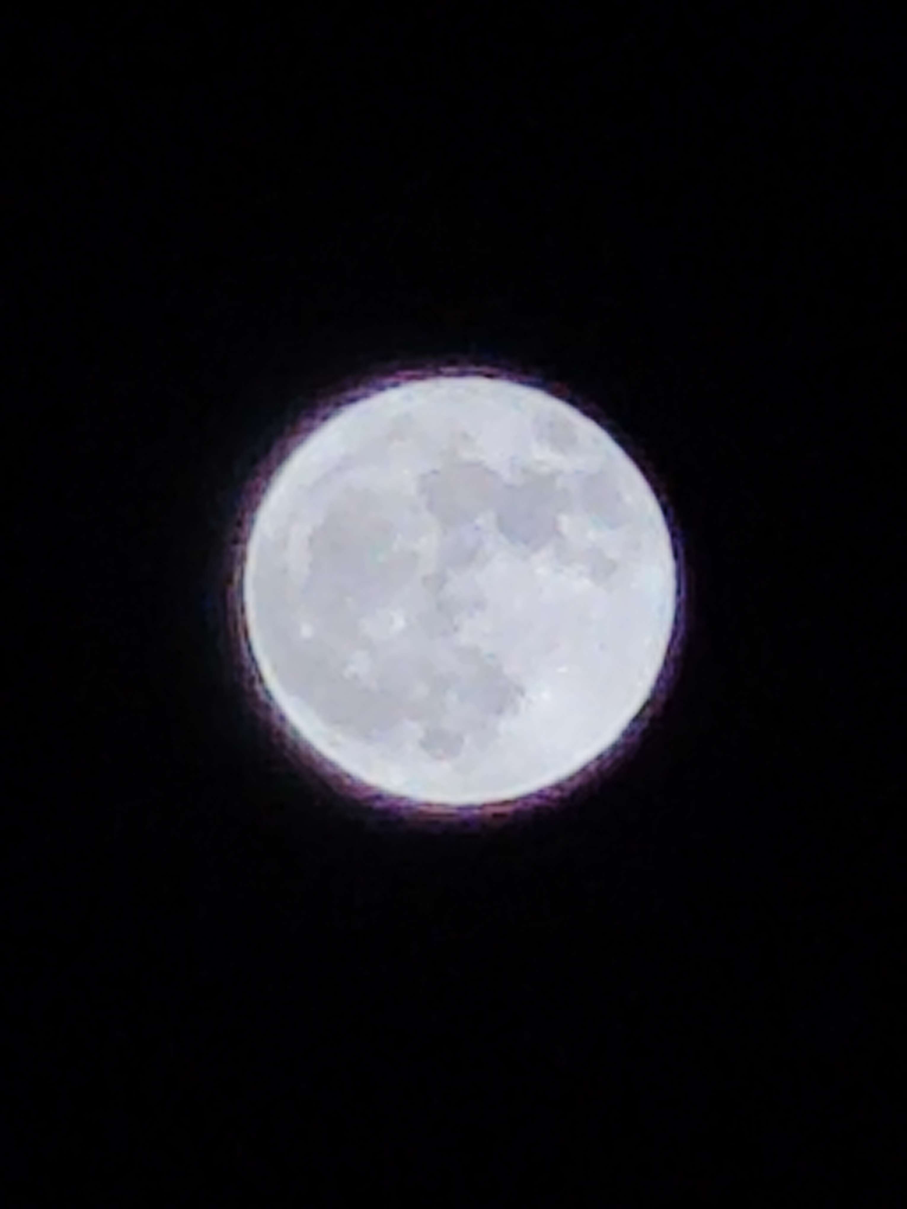 Photo 3 - X12.5 + zoom 7.6 téléphone (+ deux photos mode nuit bonus)