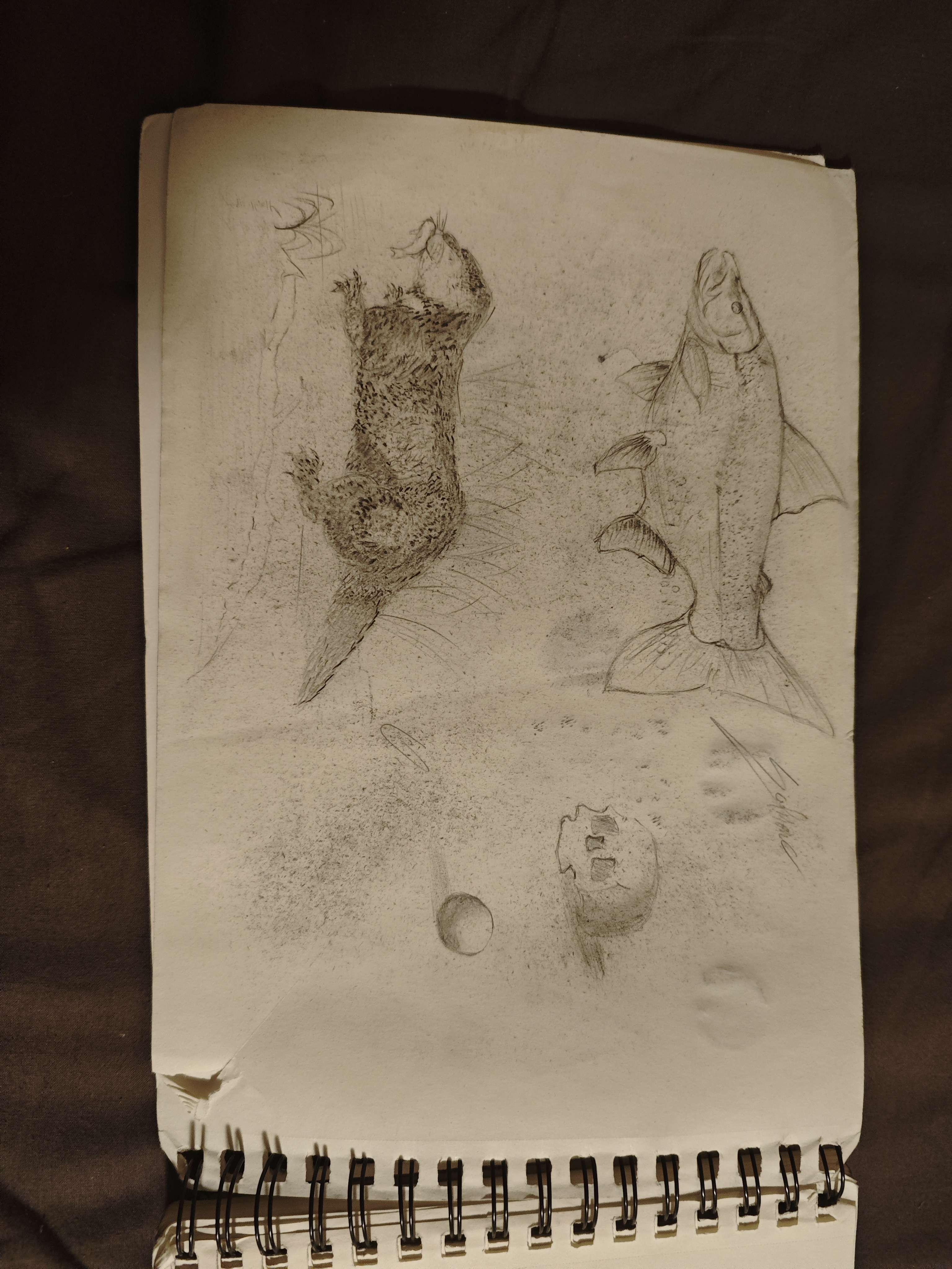 Croquis carnet