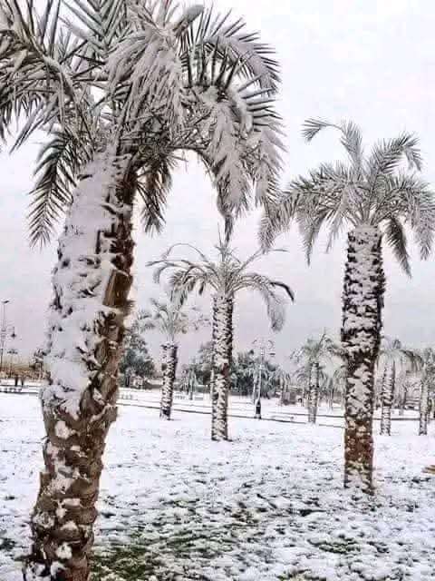 la neige ou le soleil