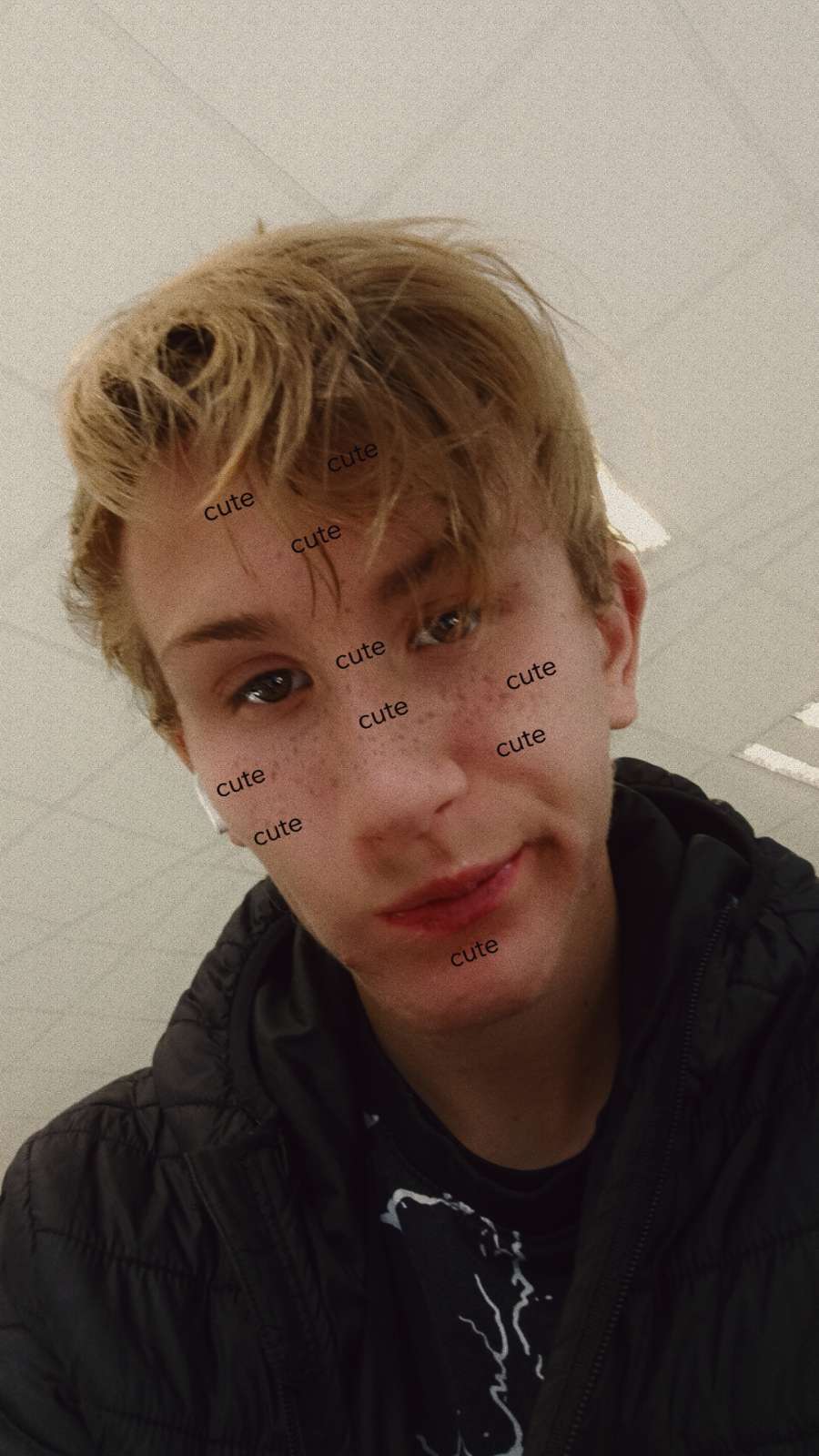 Vou pr&eacute;f&egrave;re la quelle de photos